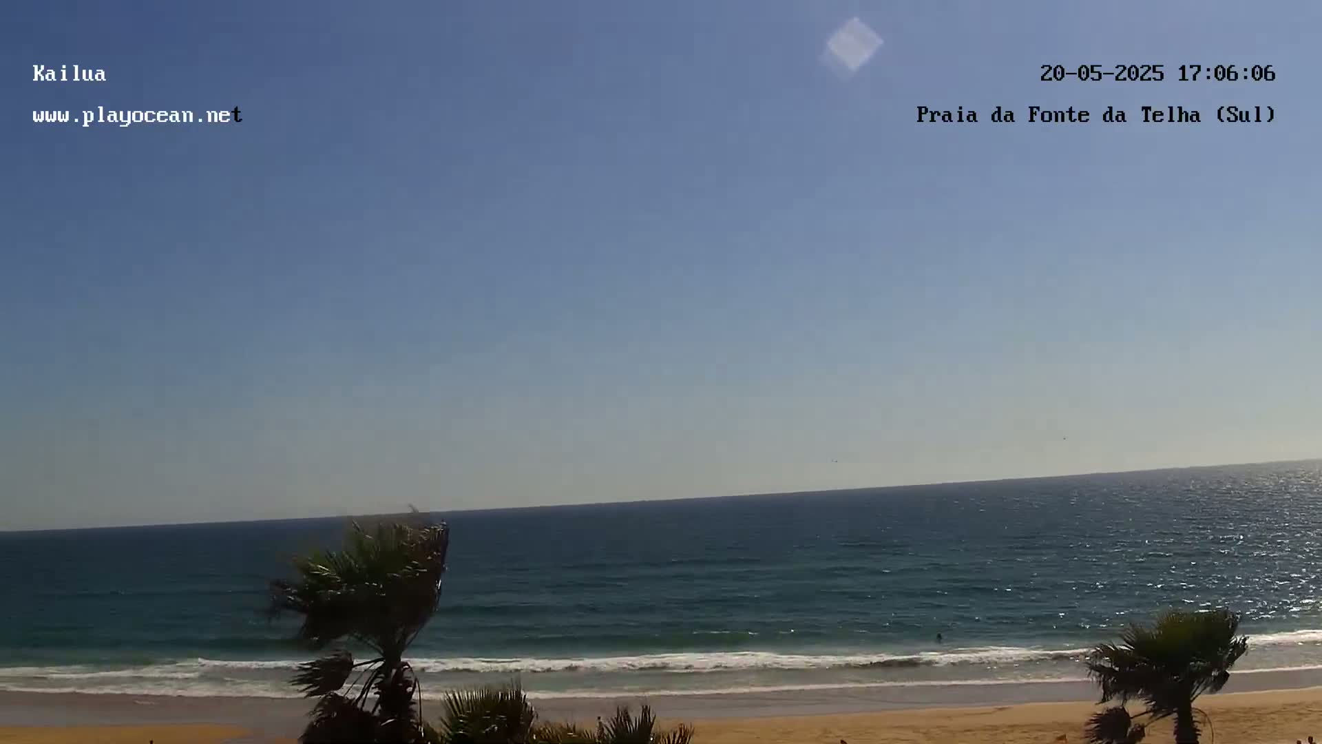 A sandy beach with palm trees in the foreground and a calm ocean under a clear blue sky.