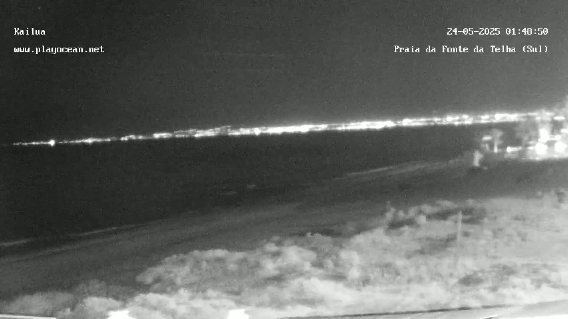 A nighttime, low-light view shows a distant shoreline with lights, a dark foreground of low-lying vegetation, and a dark, calm body of water between them.