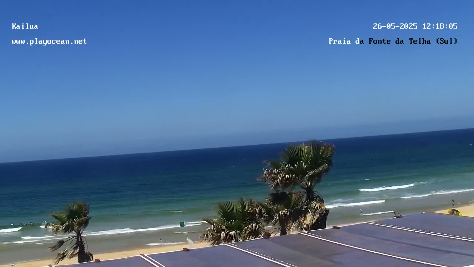 A sandy beach with gentle waves under a clear blue sky is partially visible from behind palm trees and a dark-colored rooftop structure.