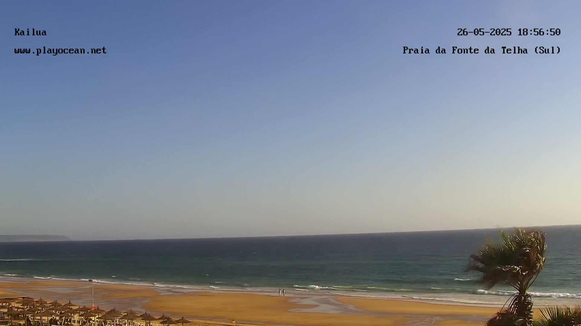 A sandy beach with calm ocean waves under a clear blue sky is visible, with a palm tree partially visible in the lower right corner.