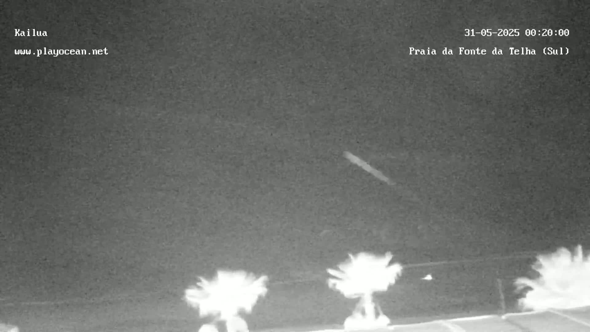 A nighttime, low-light image shows a dark sky with a faint streak of light and indistinct shapes resembling palm trees in the bottom third of the frame.