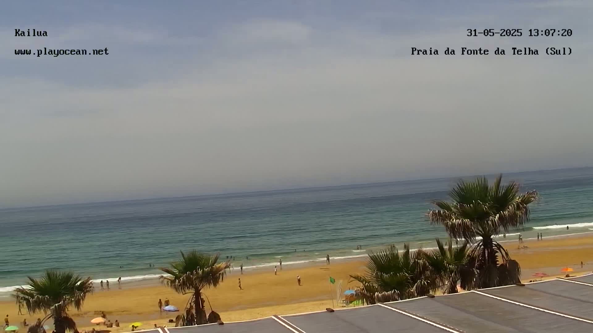A sandy beach with scattered people, palm trees, and a calm ocean under a mostly cloudy sky is seen from an elevated viewpoint.