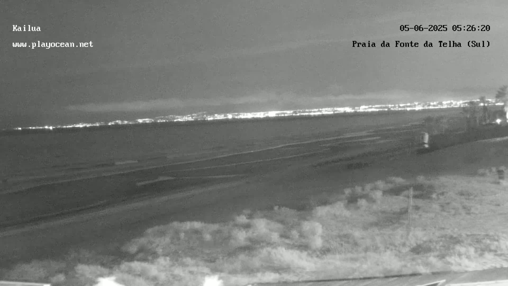 A nighttime grayscale view of a beach with gentle waves lapping the shore, a distant city skyline illuminated, and vegetation in the foreground.