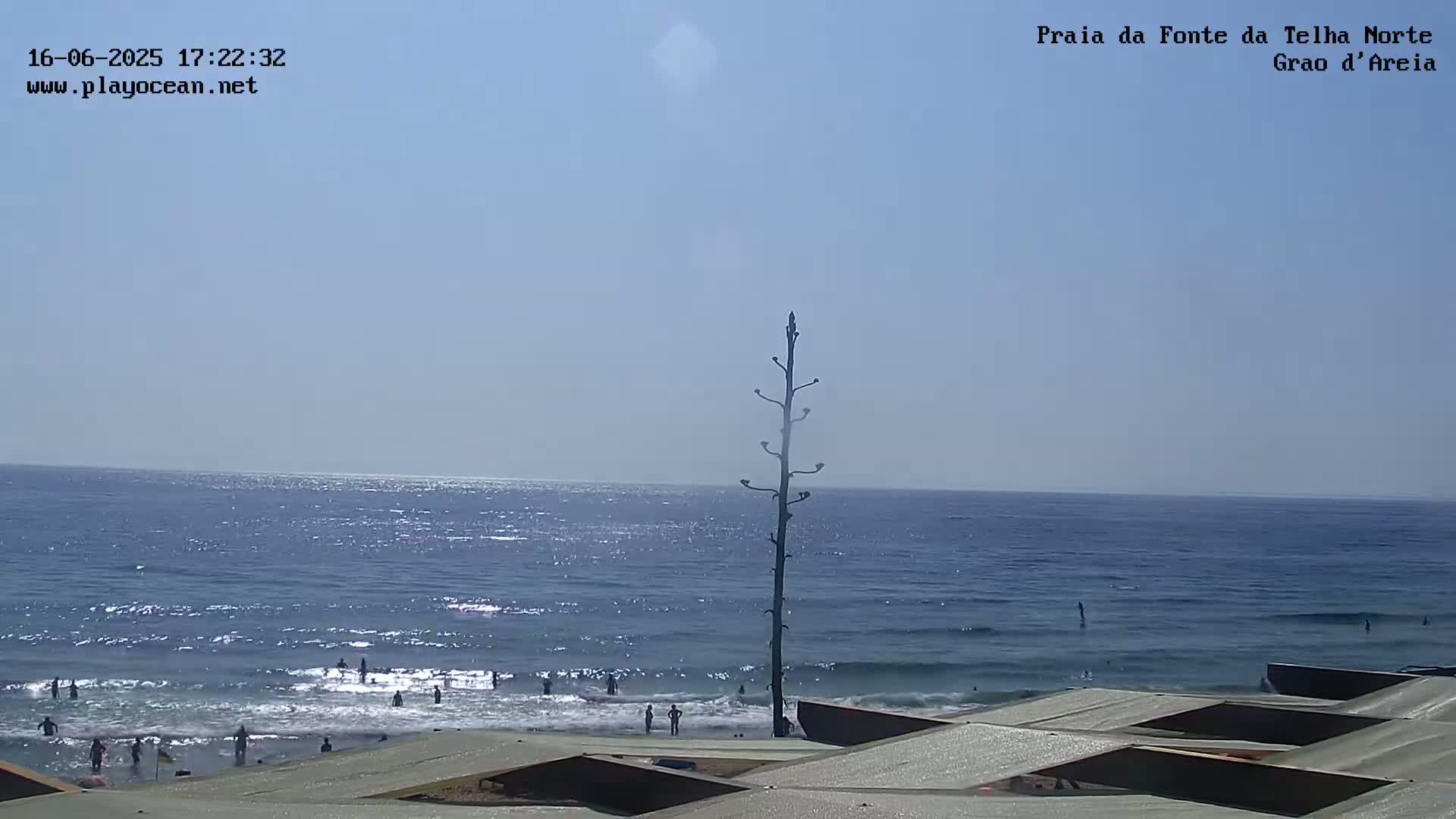 A sunny day at a beach shows a calm ocean with people swimming and standing in the water near the shore, a tall, thin, dead tree standing in the foreground, and some structures on the beach.