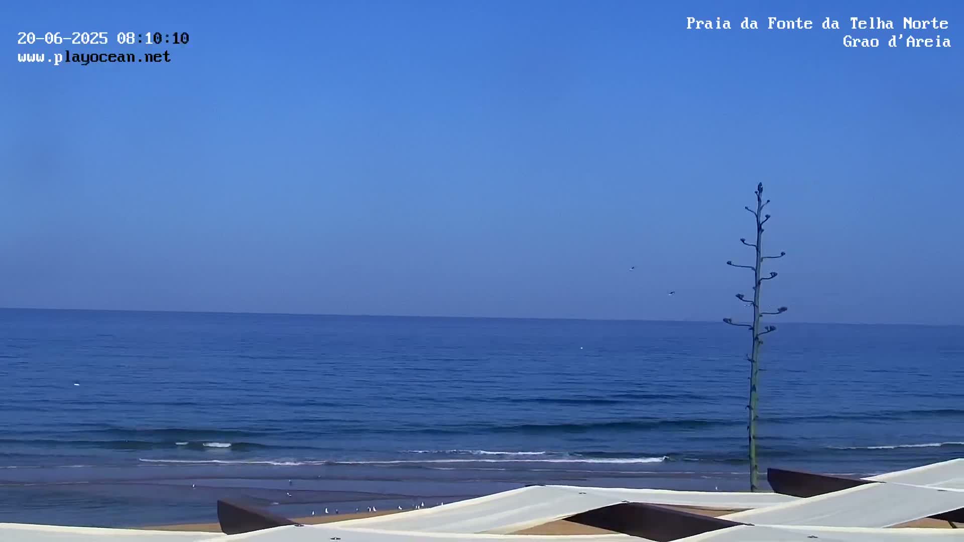 A calm ocean under a clear blue sky is viewed from a beach with several covered lounge chairs.