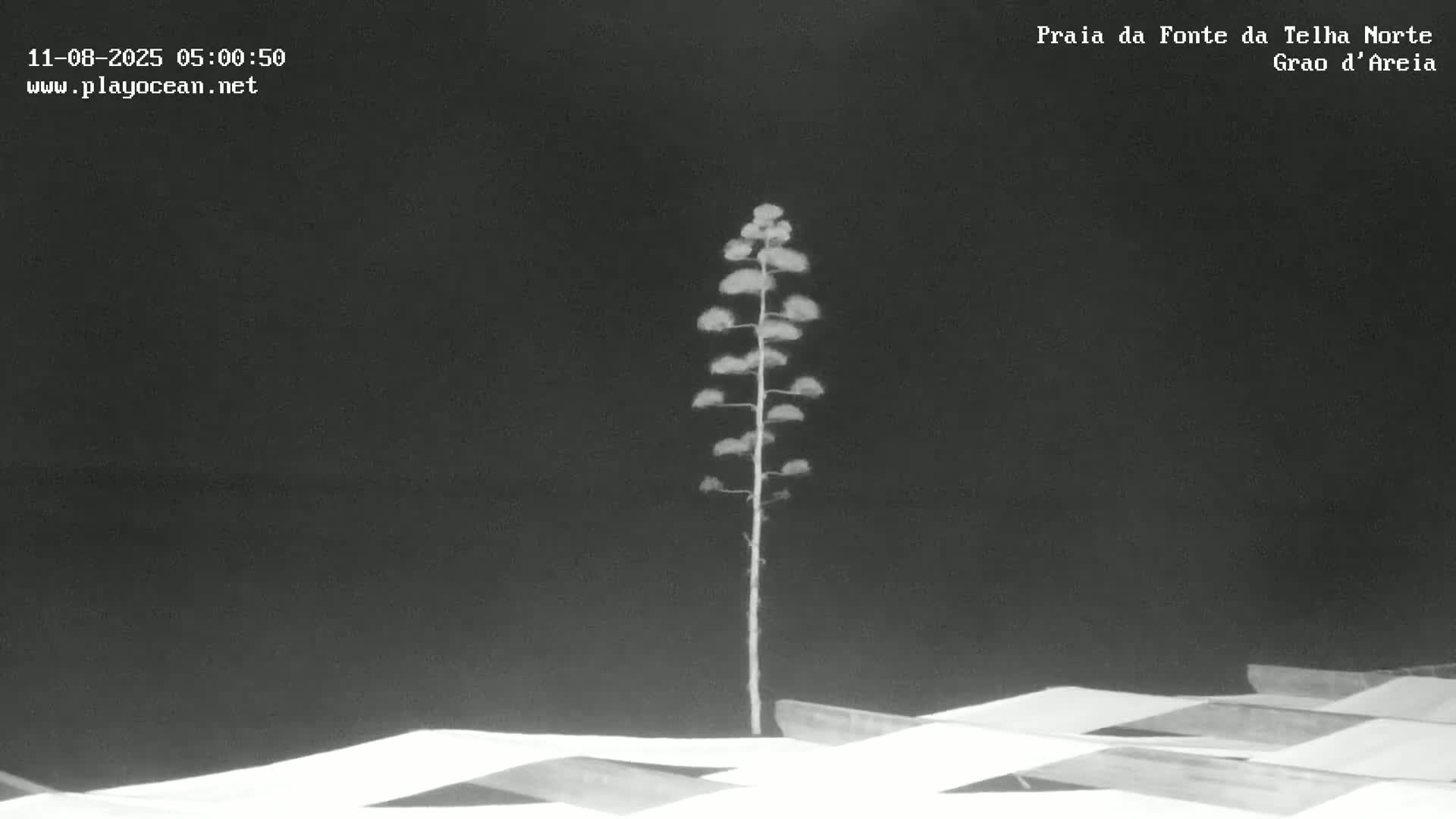 Praia da Fonte da Telha Beach, Costa de Caparica Live Cam - Almada, Setubal, Lisbon, Portugal