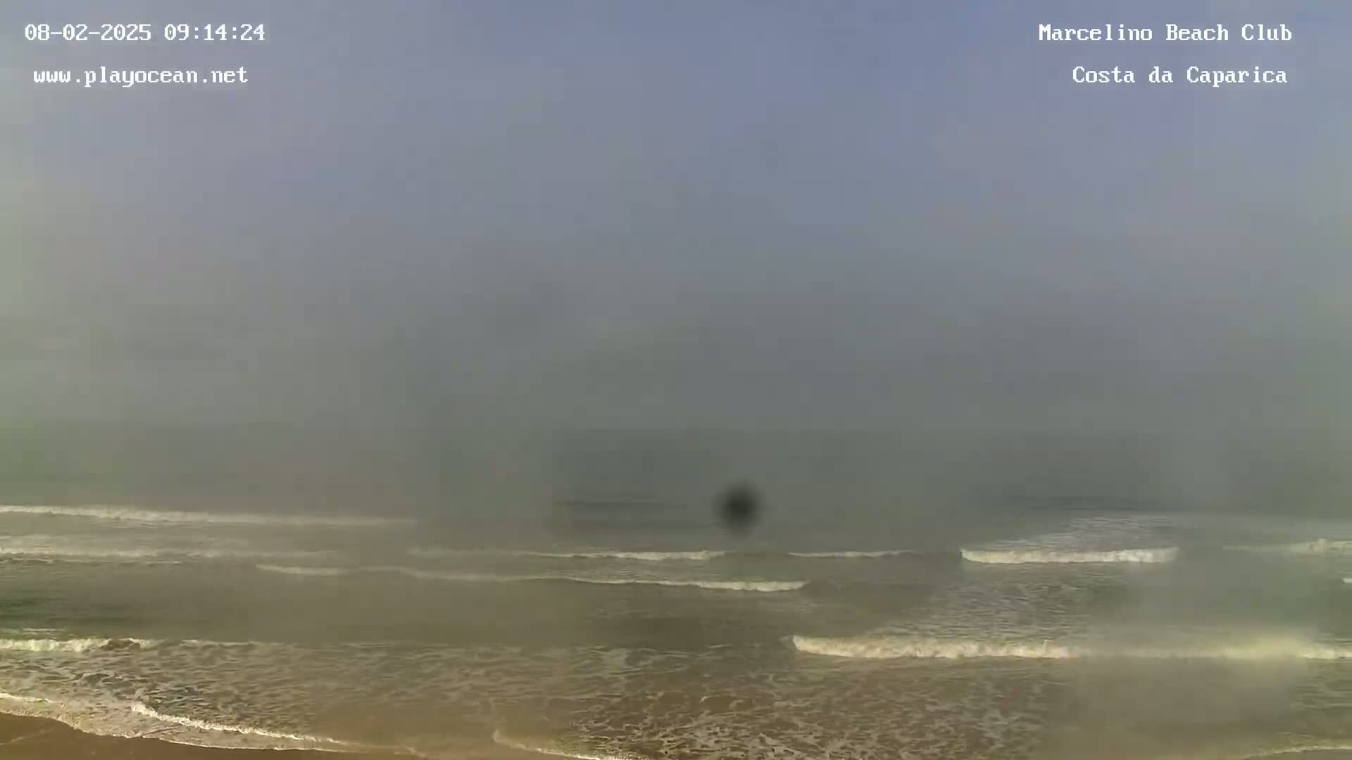 A foggy beach scene shows waves rolling onto the shore.