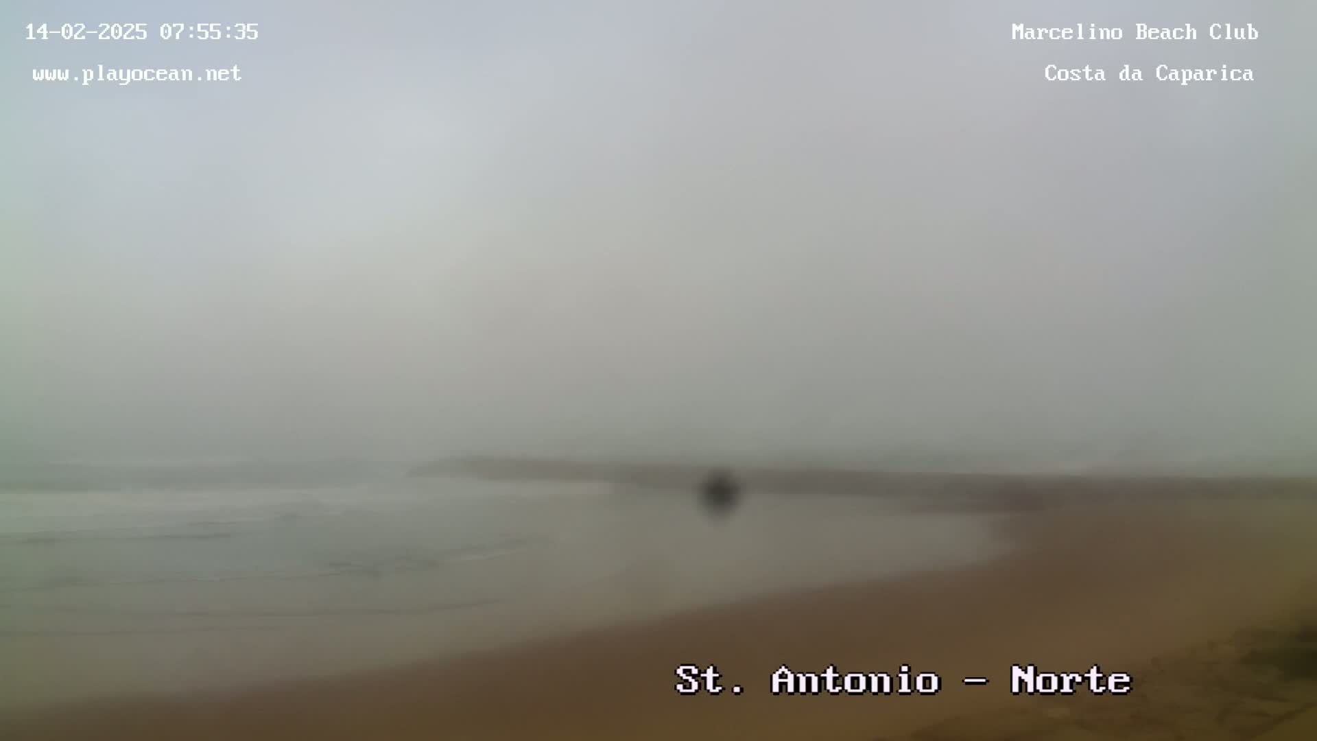 A foggy beach scene shows a hazy ocean meeting a sandy shore.
