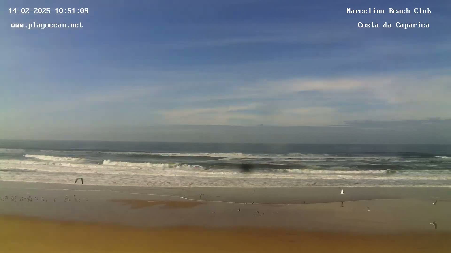 Under a mostly clear sky, waves break on a wide, sandy beach with several birds scattered along the shore.