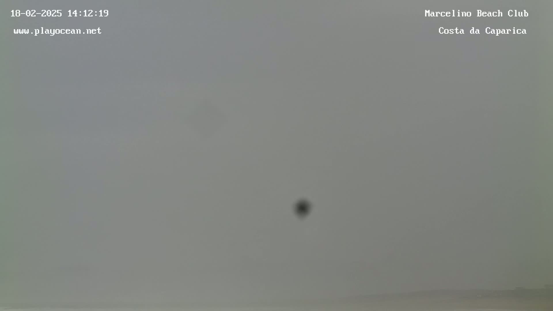 A blurry, gray, overcast sky is visible.