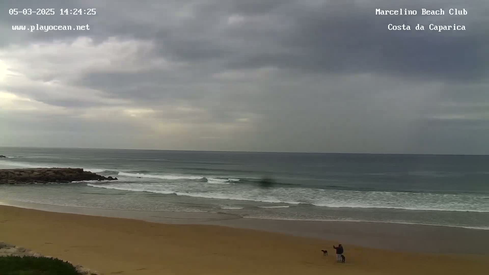 A sandy beach with a calm ocean under an overcast sky shows a person walking two dogs.