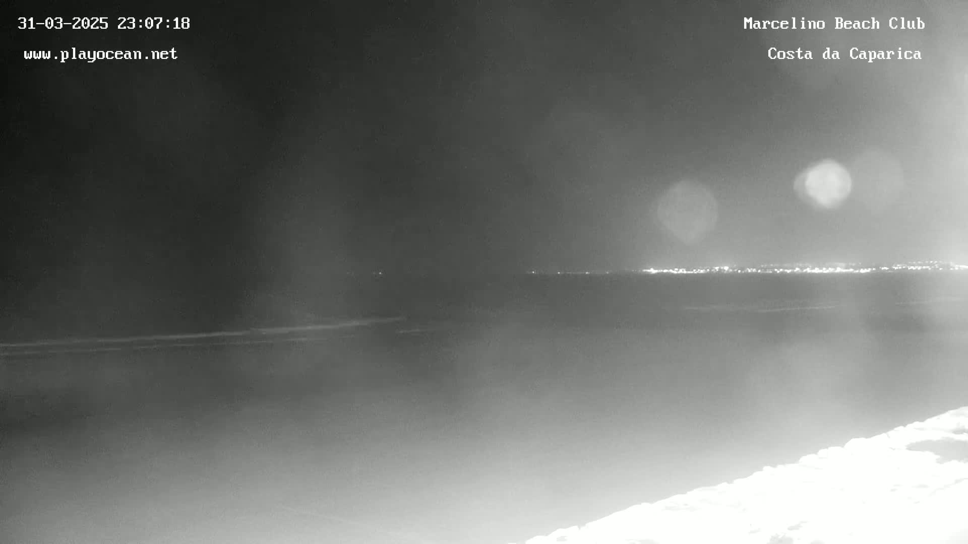 A nighttime, grayscale view of a calm ocean with a distant city skyline illuminated along the horizon.