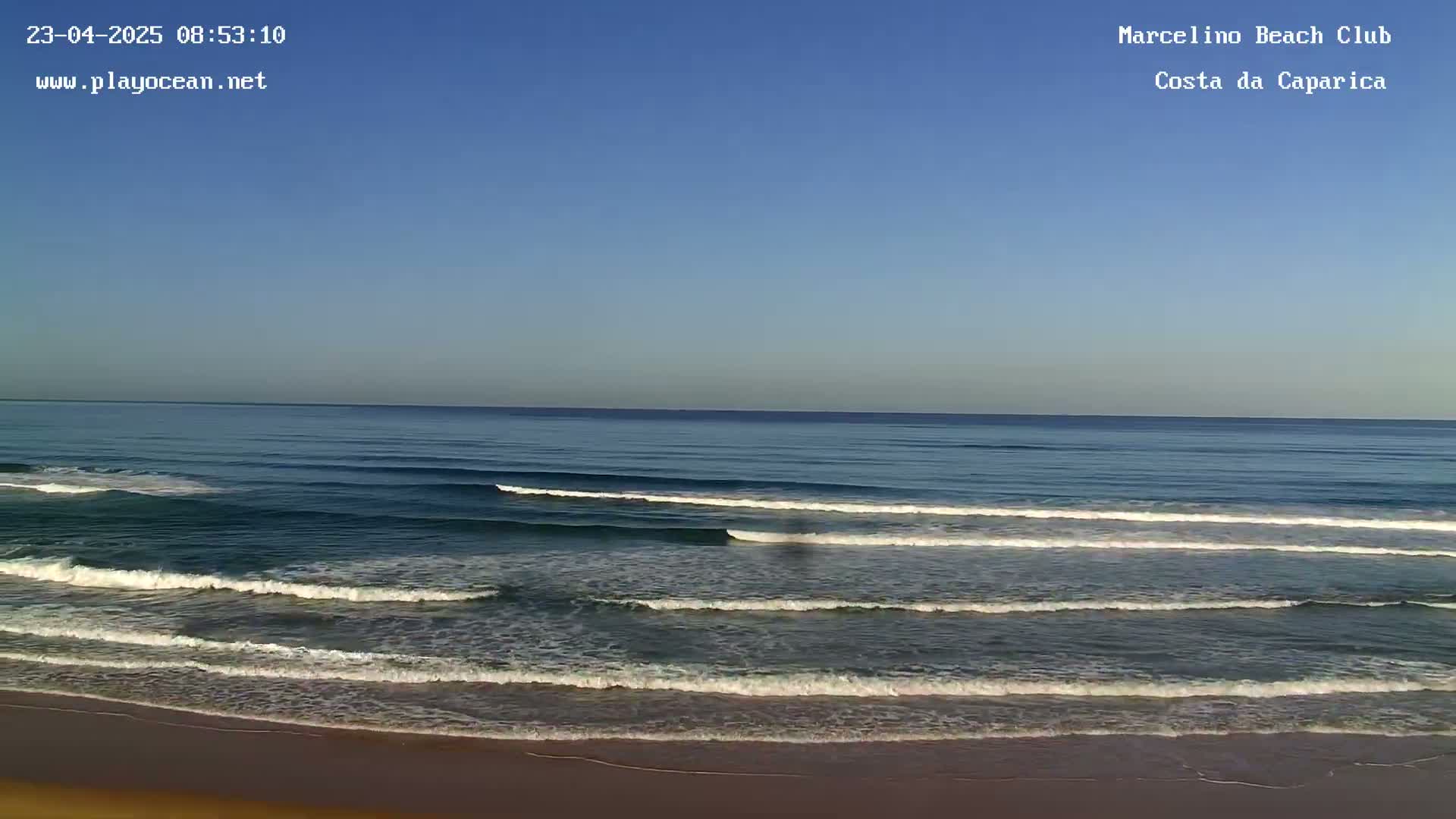 A sandy beach meets a calm ocean under a clear blue sky.