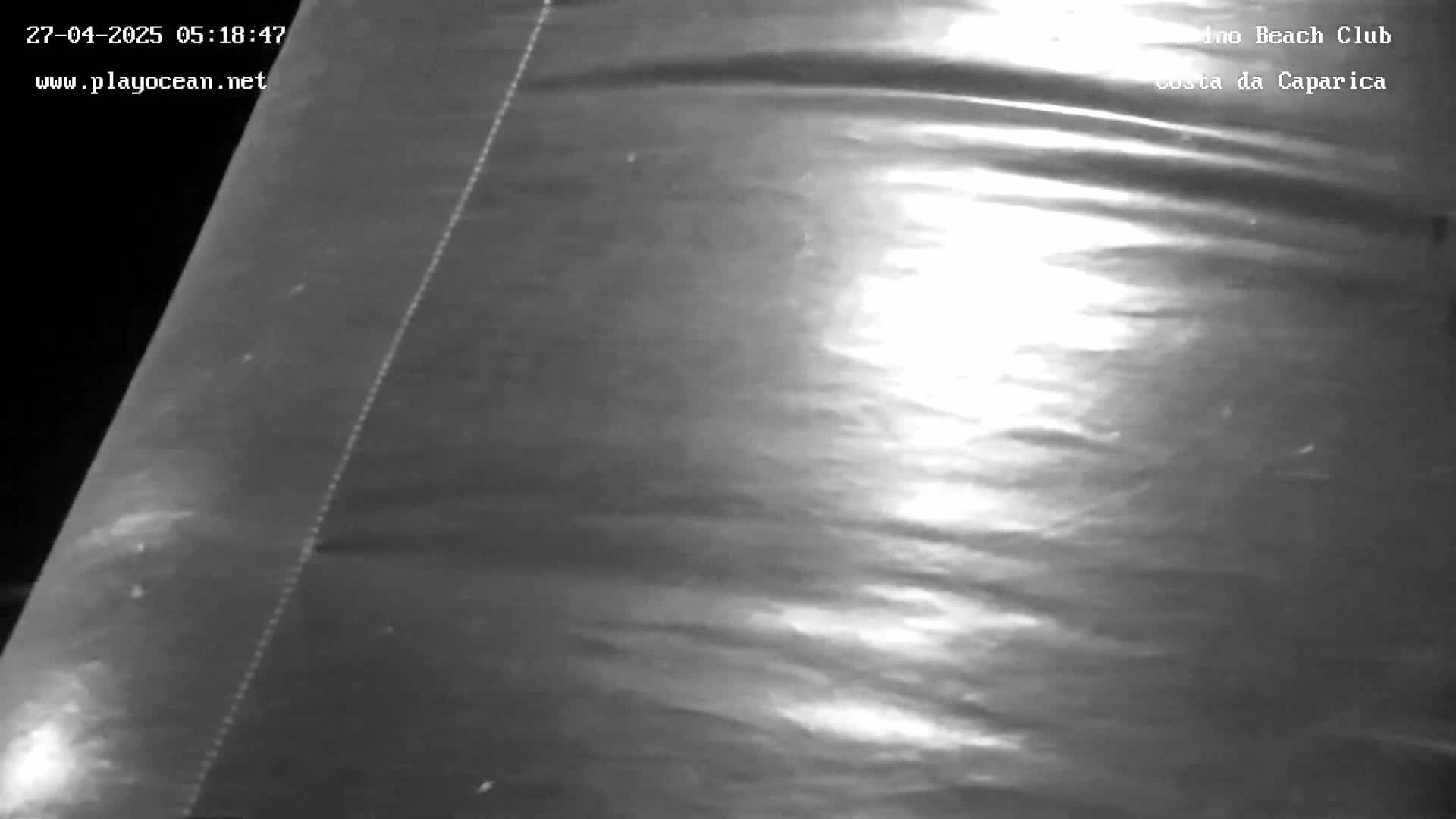 A grayscale image shows a close-up view of a rippled, fabric-like surface, possibly a tarp or similar material.