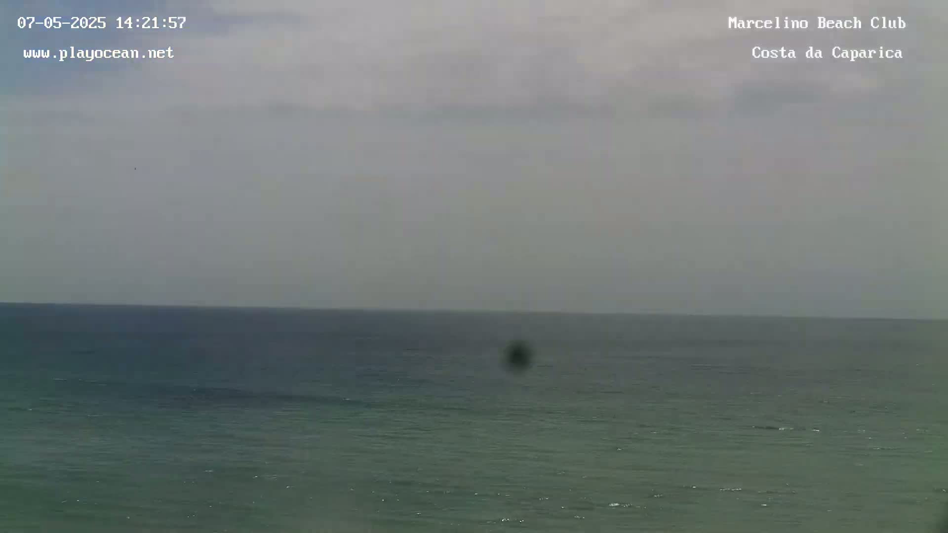 A calm, overcast ocean is visible, with a dark, blurry object in the mid-distance.