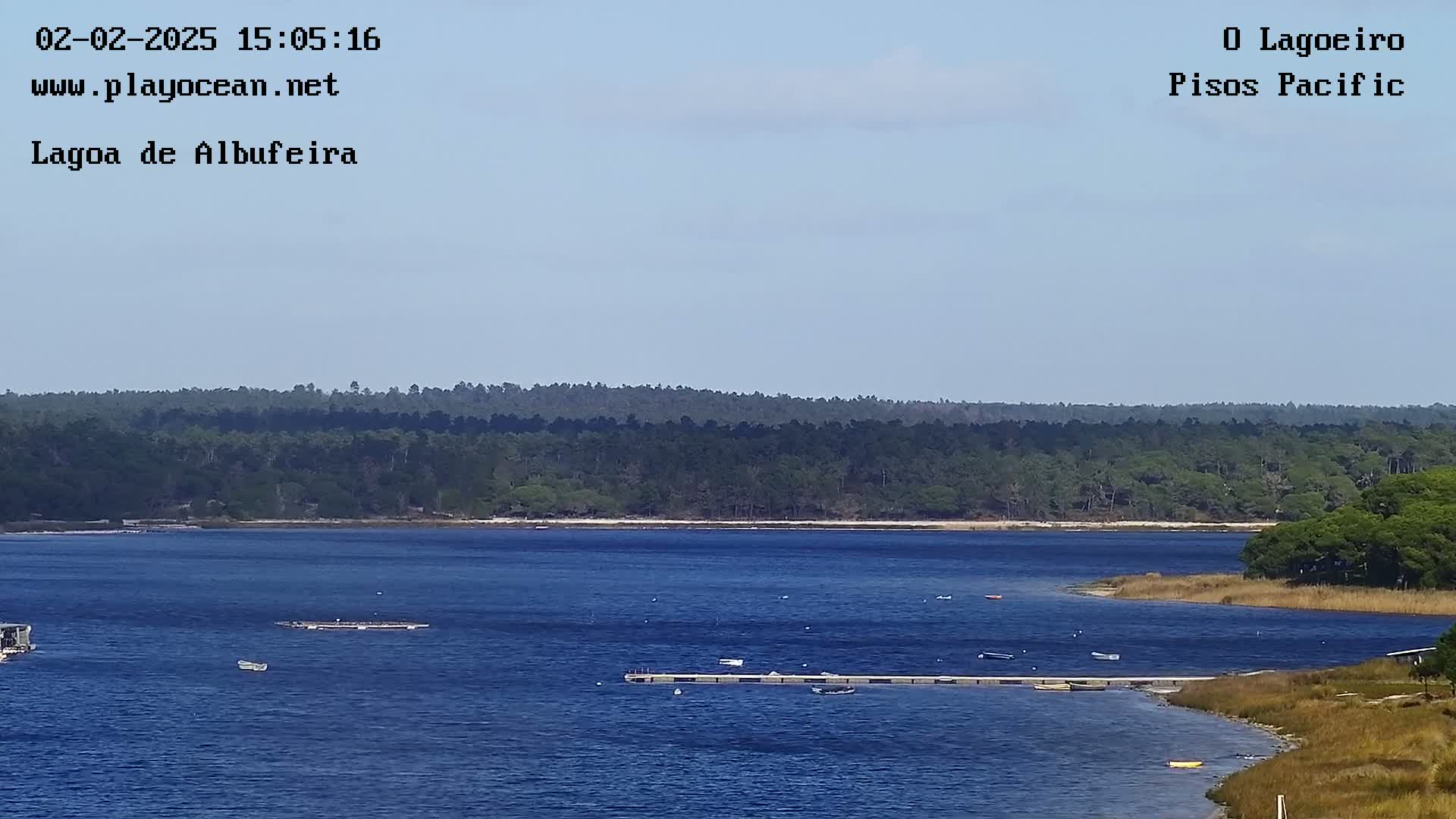 A calm body of water, dotted with small boats and a pier, stretches out before a verdant shoreline and a distant line of trees under a clear sky.