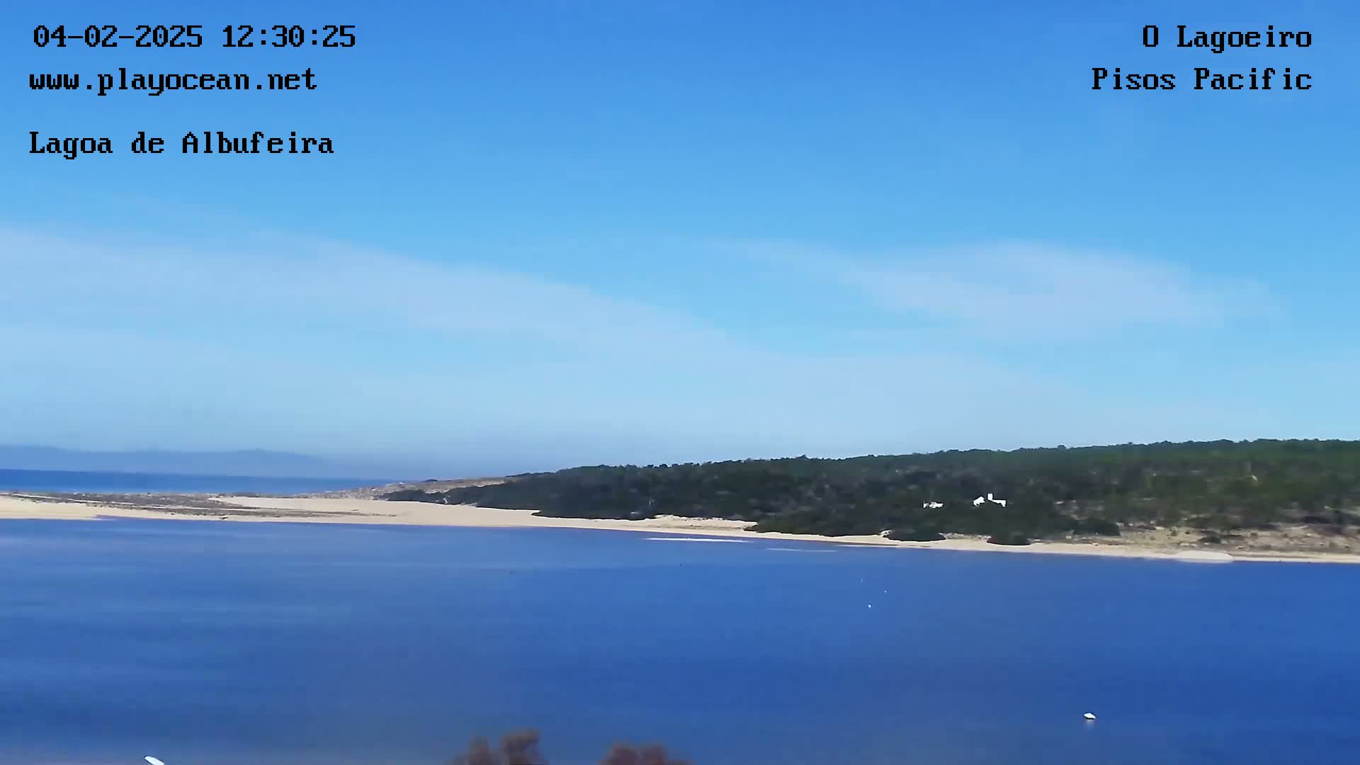 A calm body of blue water stretches toward a sandy shore backed by dark green vegetation under a clear blue sky.