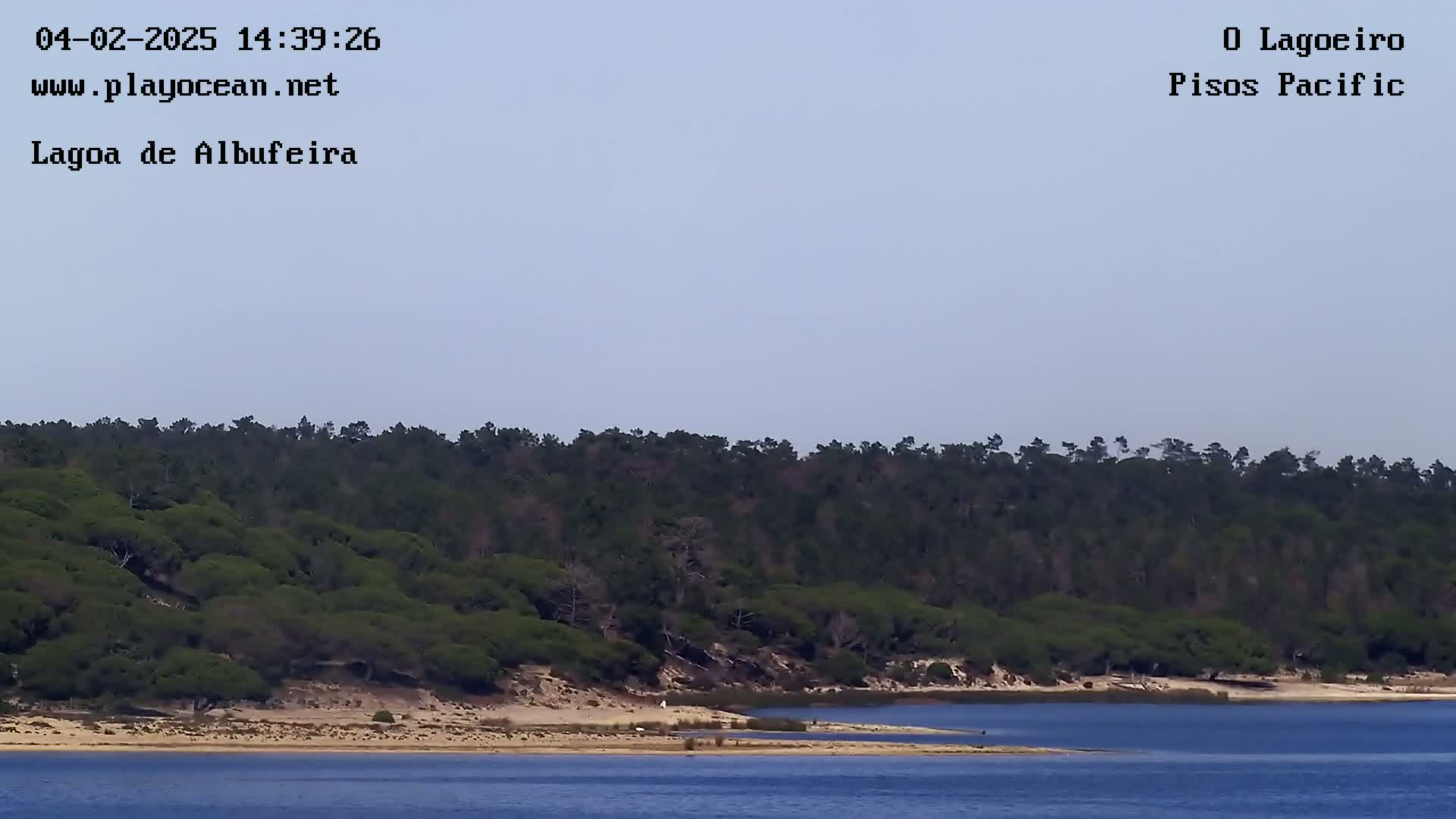 A tranquil body of water with a sandy shore and a dense forest of dark green trees in the background under a clear, light-blue sky.