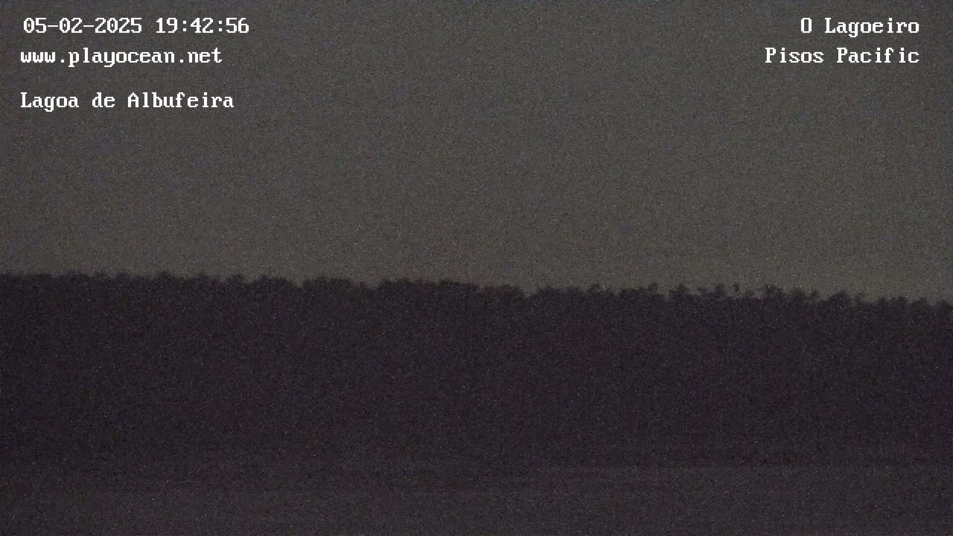 A dark, possibly nighttime, image shows a line of trees or shrubs against a darker sky.