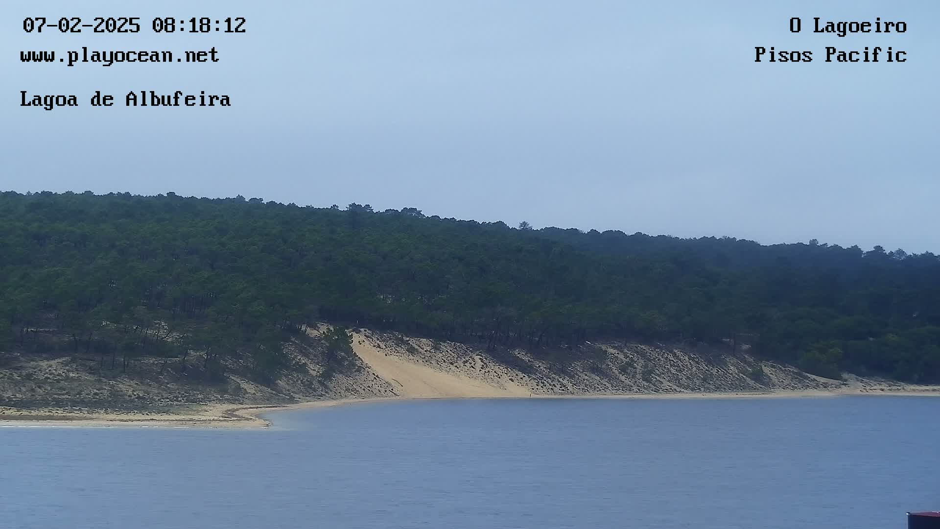 A sandy shore curves into a calm body of water, backed by a dense, dark green forest under a clear, light-blue sky.