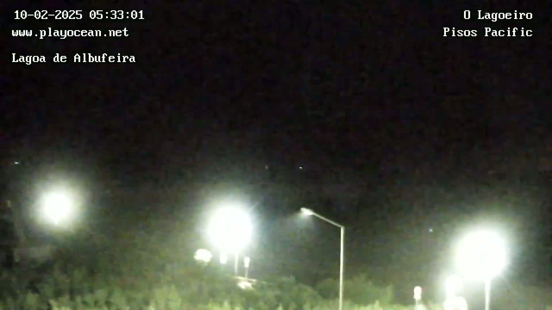 A nighttime, outdoor scene shows a road with several bright streetlights illuminating vegetation under a dark, clear sky.