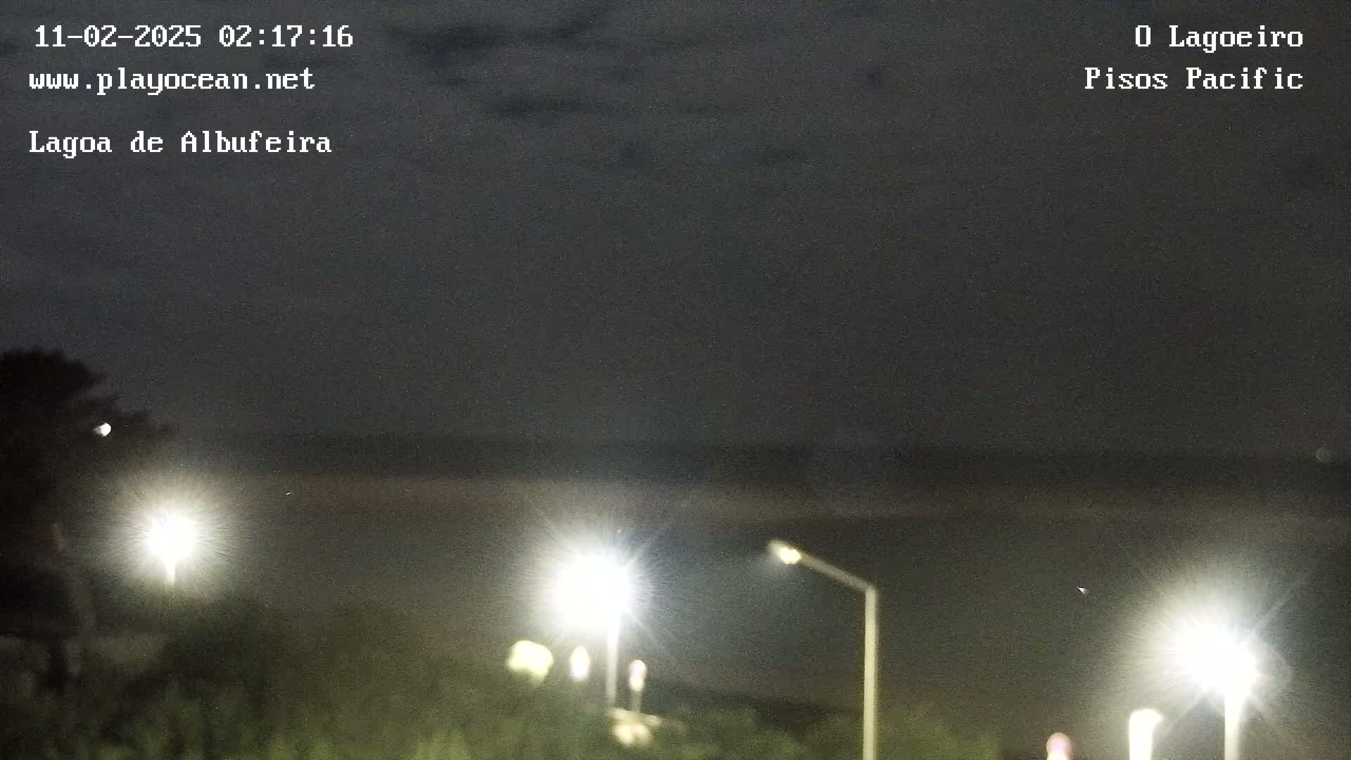 A nighttime long shot shows a dark body of water under a dark sky illuminated by several bright streetlights along a road.