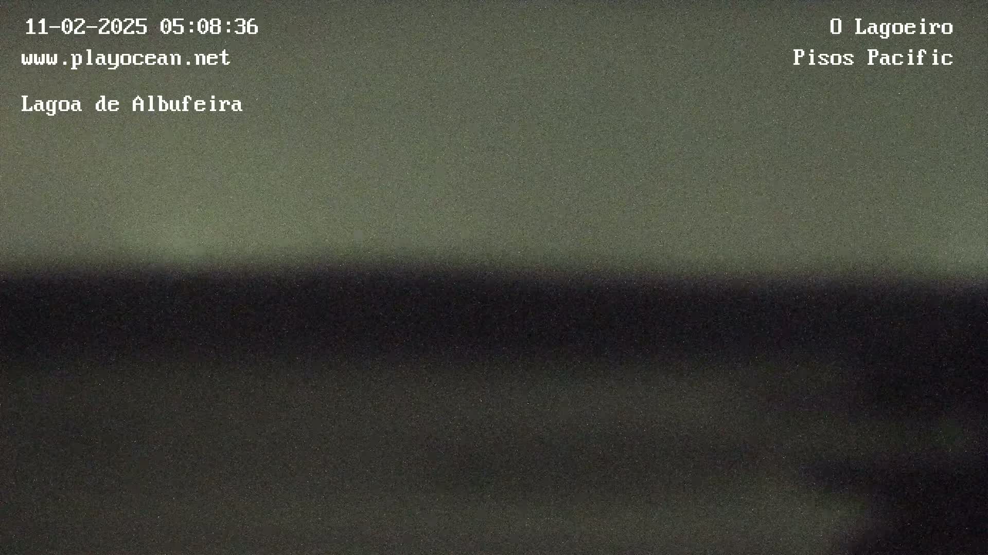 A dark, blurry image shows a dark body of water under a dim, overcast sky.