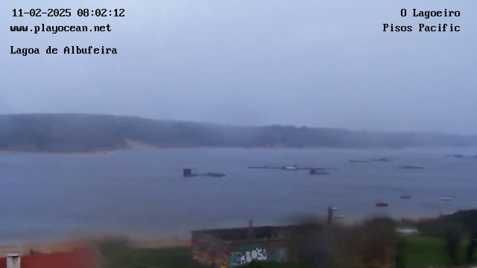 A hazy, overcast day shows a body of water with several small boats and a shoreline with low vegetation in the foreground.