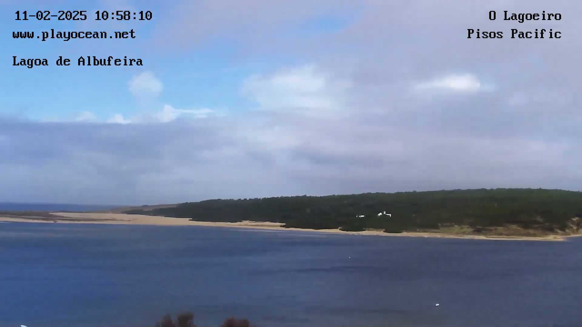 A calm body of water stretches toward a sandy shore lined with dark green vegetation under a mostly cloudy sky.