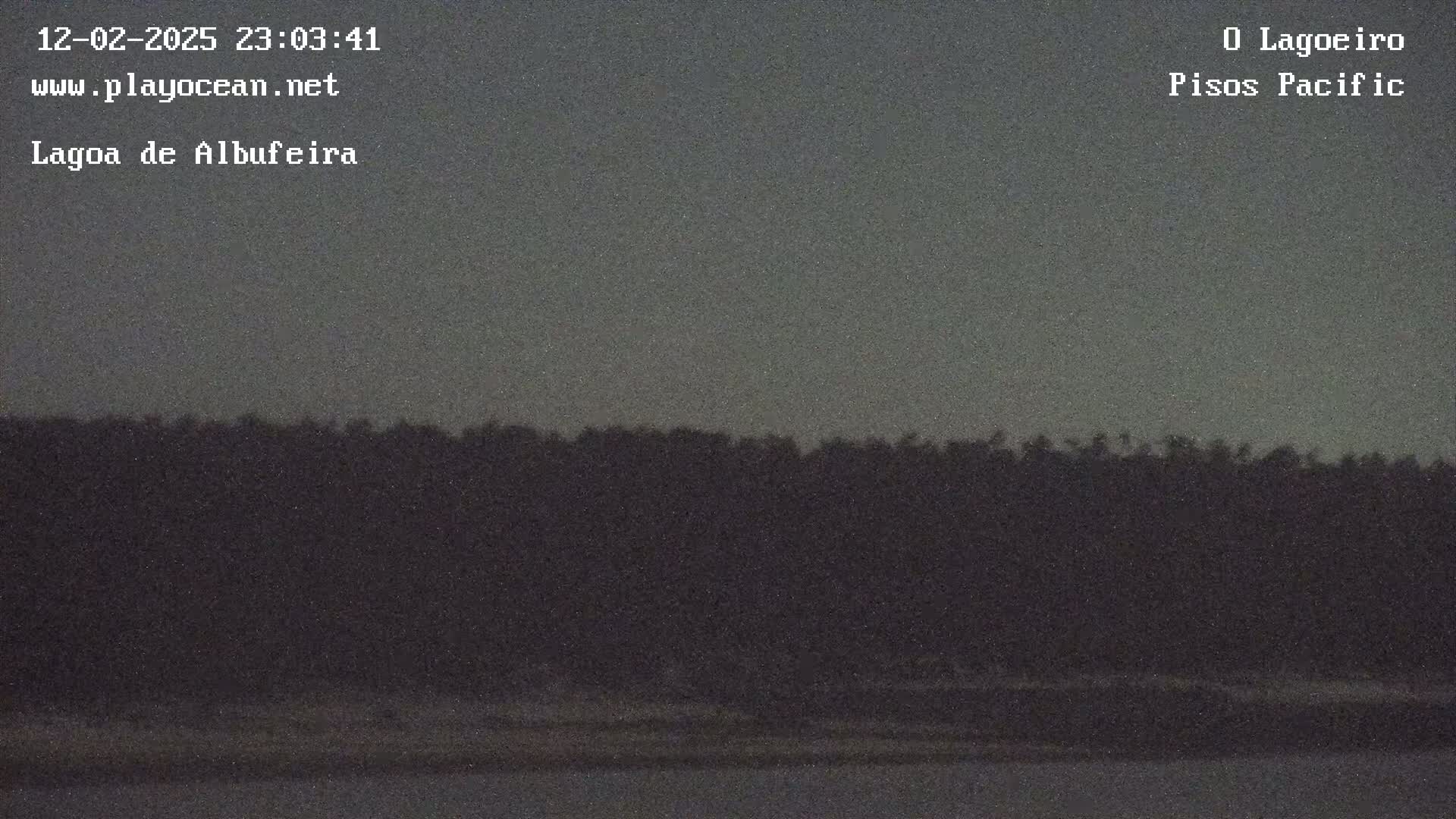 A dark, silhouetted line of trees sits against a twilight sky above a flat, dark body of water.