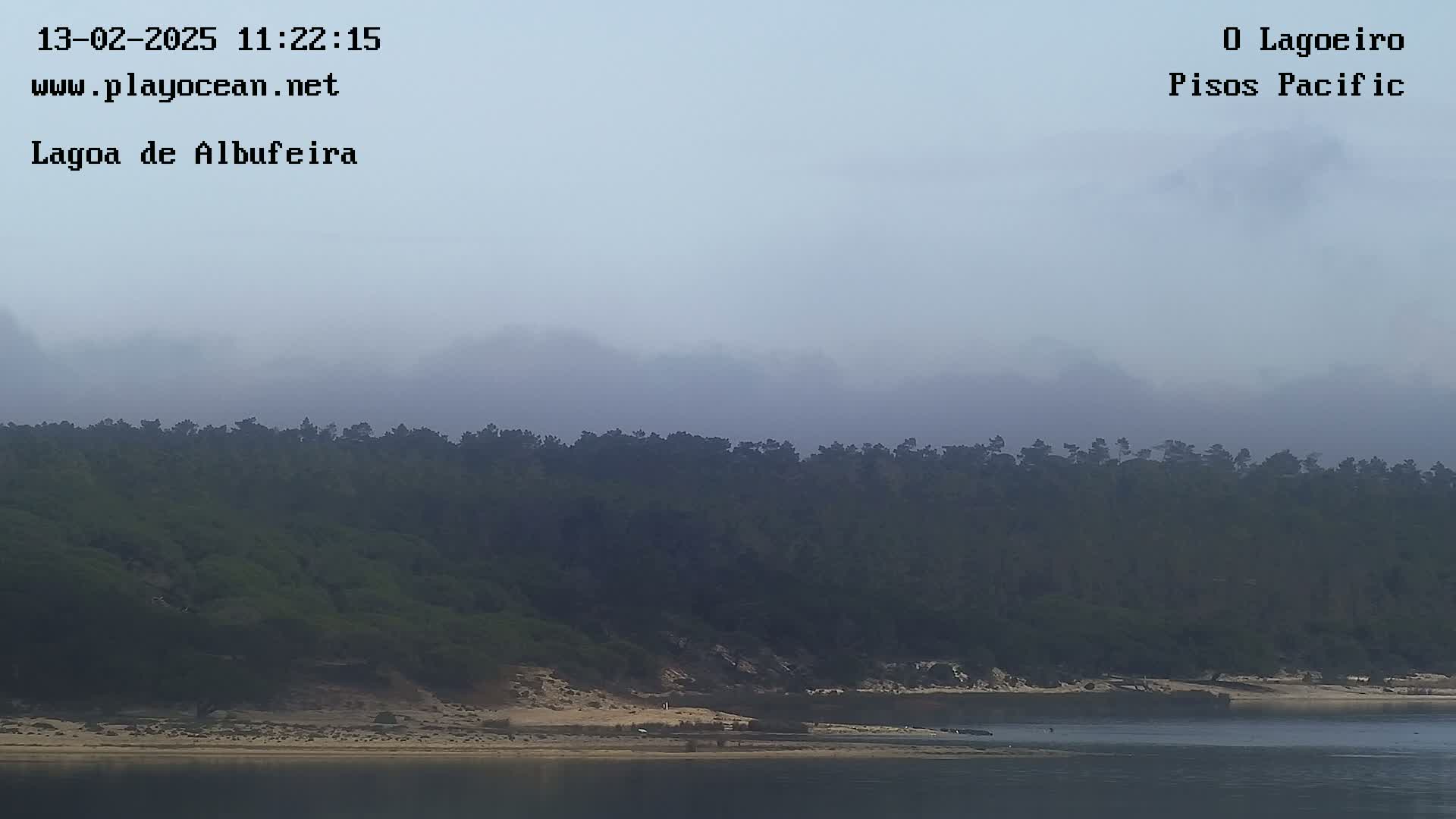 A foggy, overcast day reveals a tranquil scene of dark green trees lining a sandy shore and calm water.