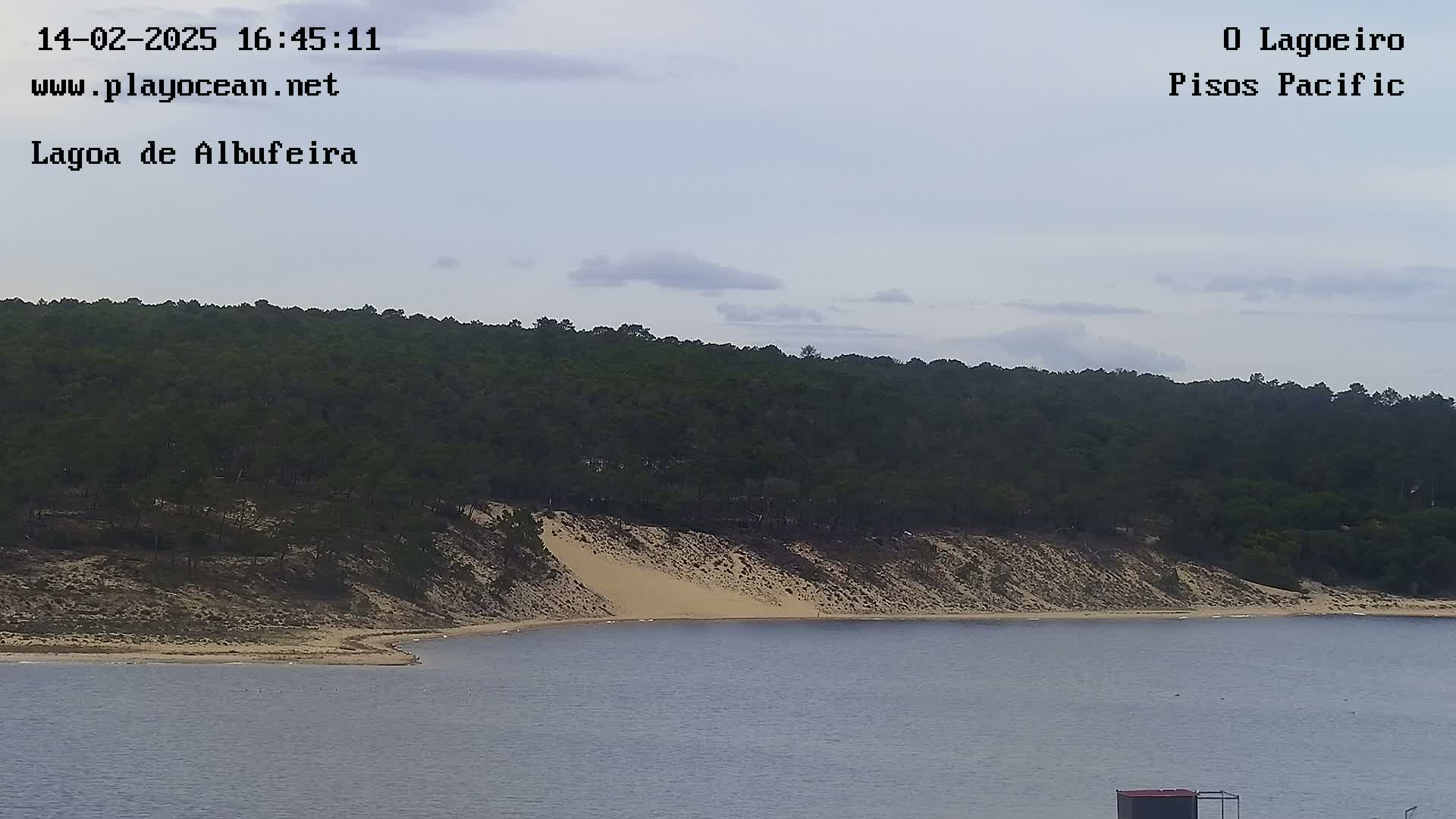 A sandy beach curves around a calm body of water, backed by a dense, dark green forest under a mostly cloudy sky.