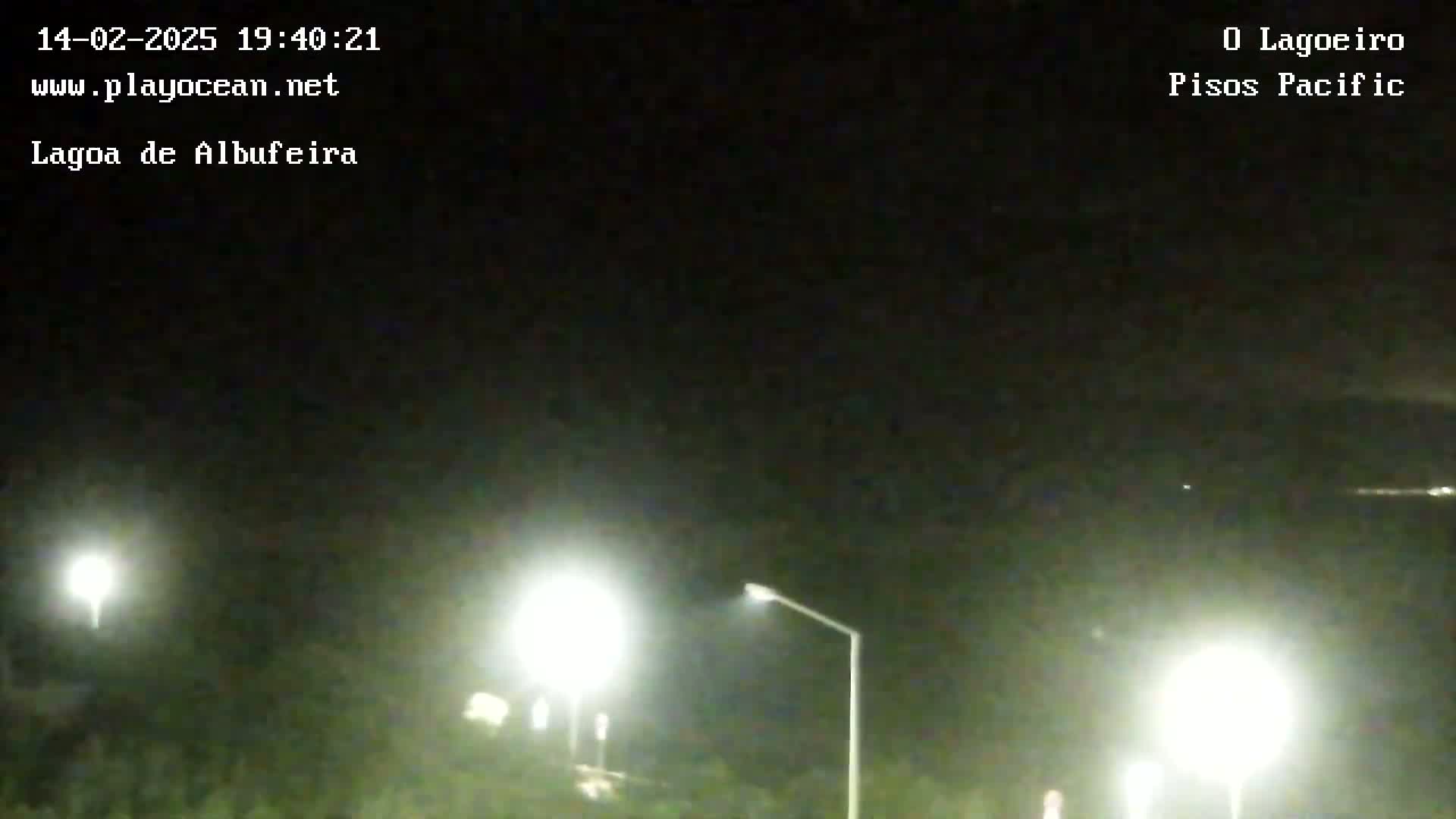 A nighttime view of a road illuminated by streetlights, under a dark, clear sky.
