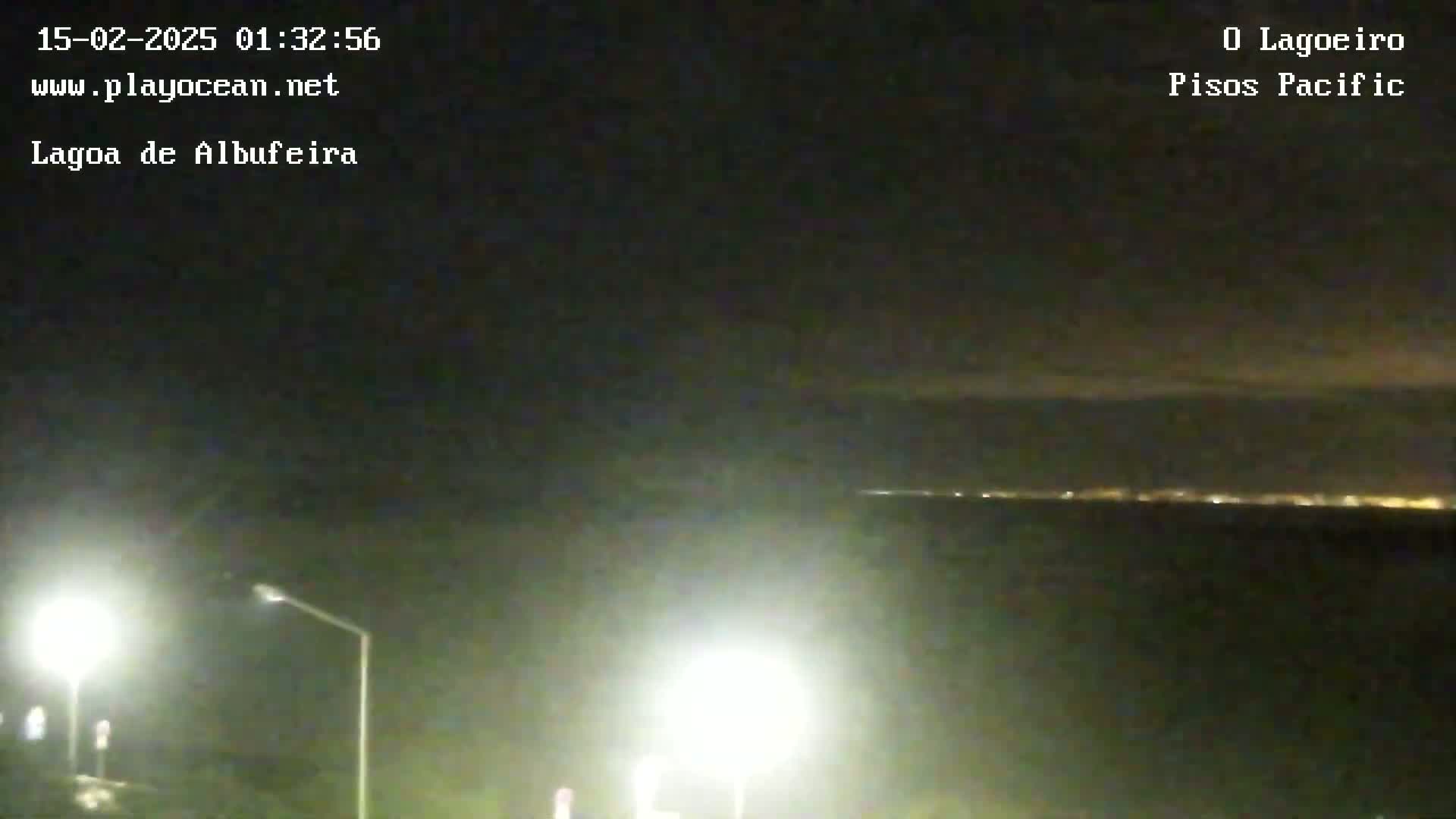 A nighttime view of a body of water with a distant line of lights on the horizon under a dark sky.