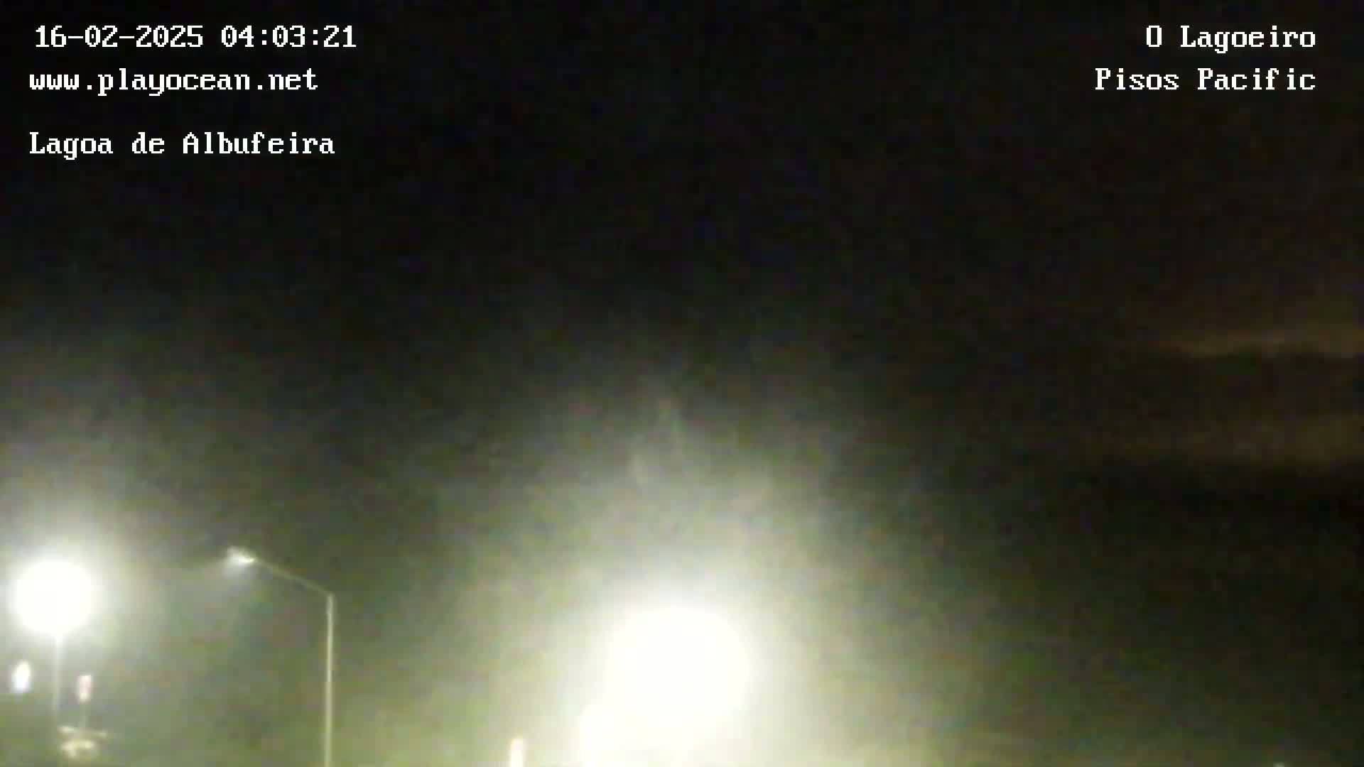 A nighttime outdoor scene shows hazy or foggy conditions with two bright streetlights illuminating a dark road.