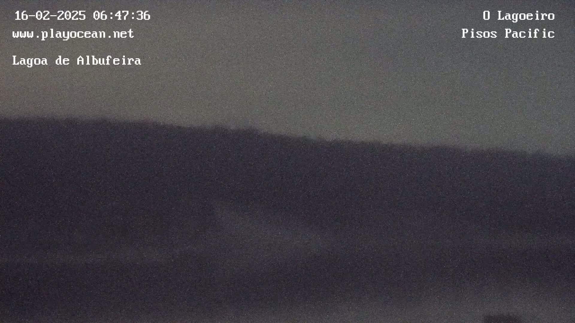 A dark, blurry image shows a hillside under an overcast sky.