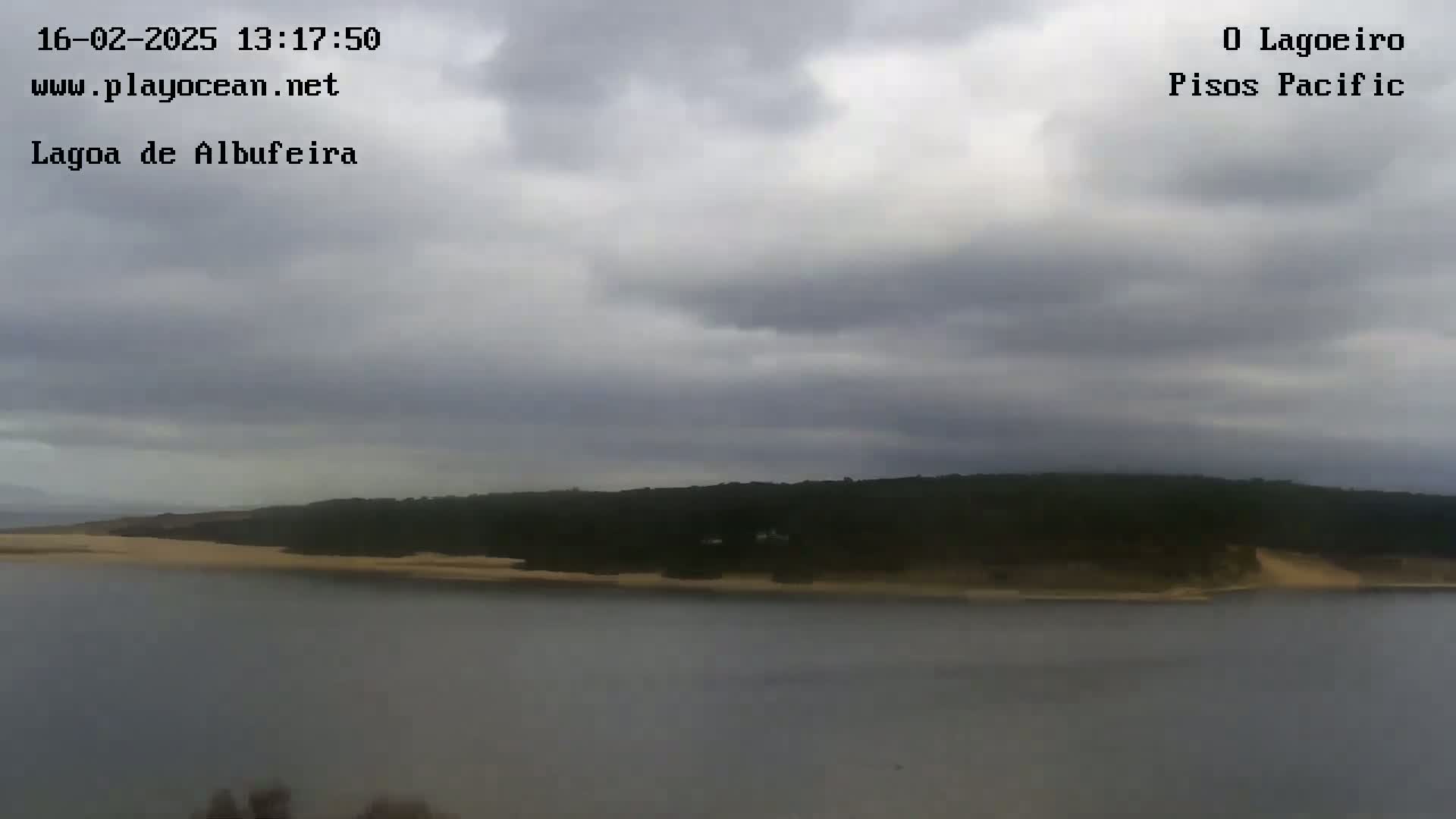 A calm body of water stretches out before a shoreline of sand and dark green vegetation under an overcast sky.