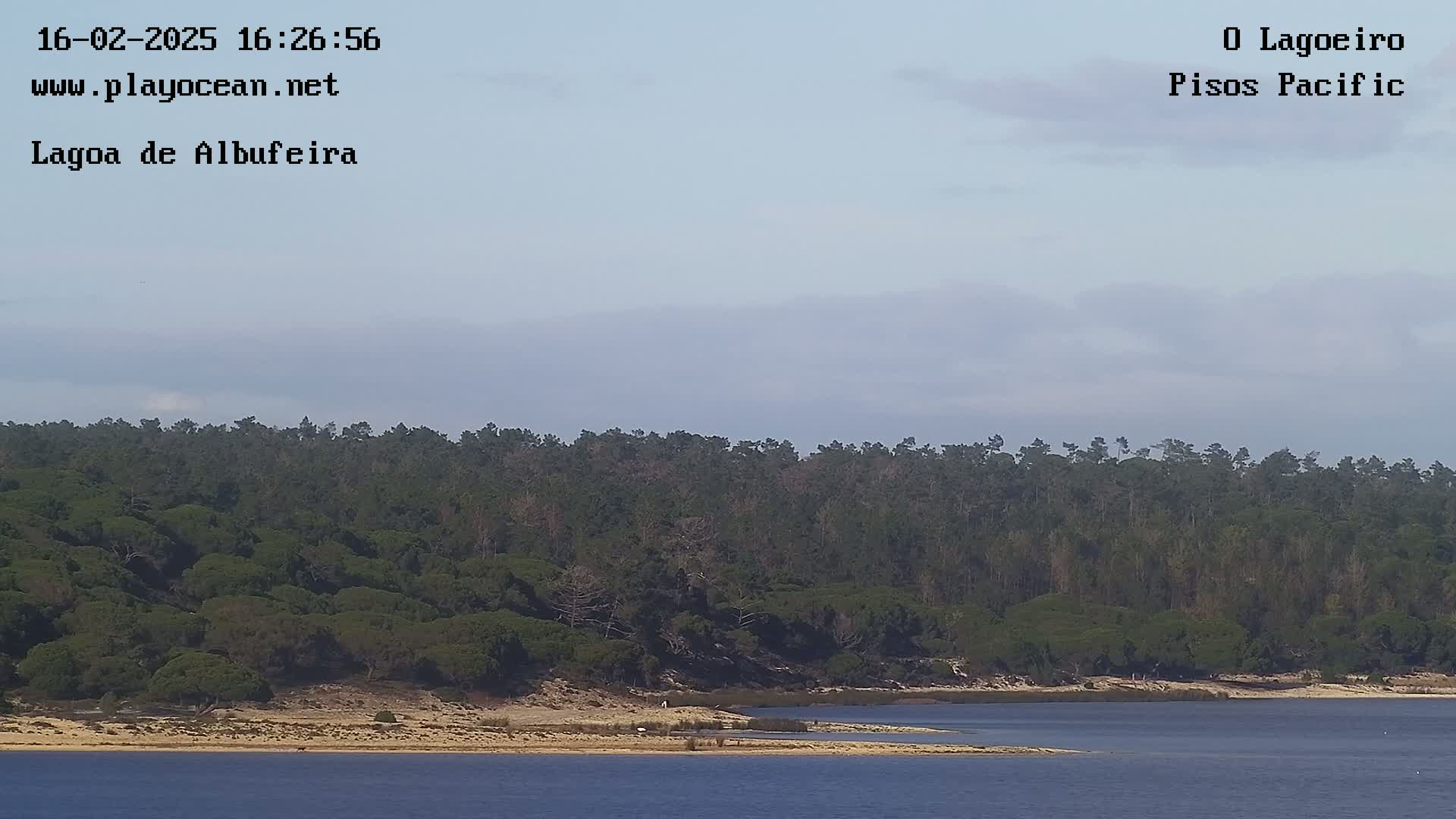 A calm body of water stretches out in front of a sandy shoreline backed by a dense forest under a hazy, overcast sky.