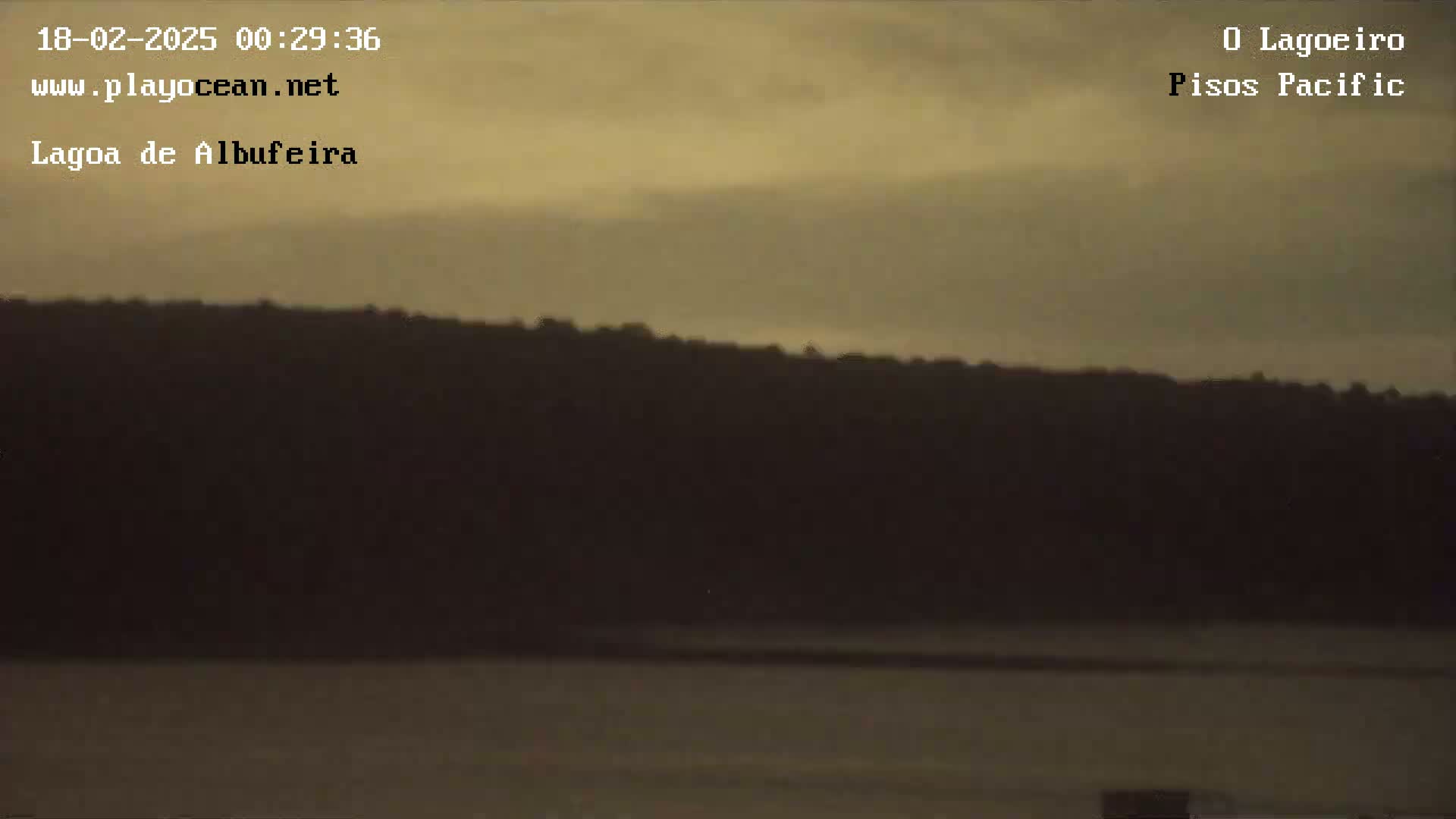 A dark, silhouetted line of trees sits across a calm body of water under a cloudy, muted sky.
