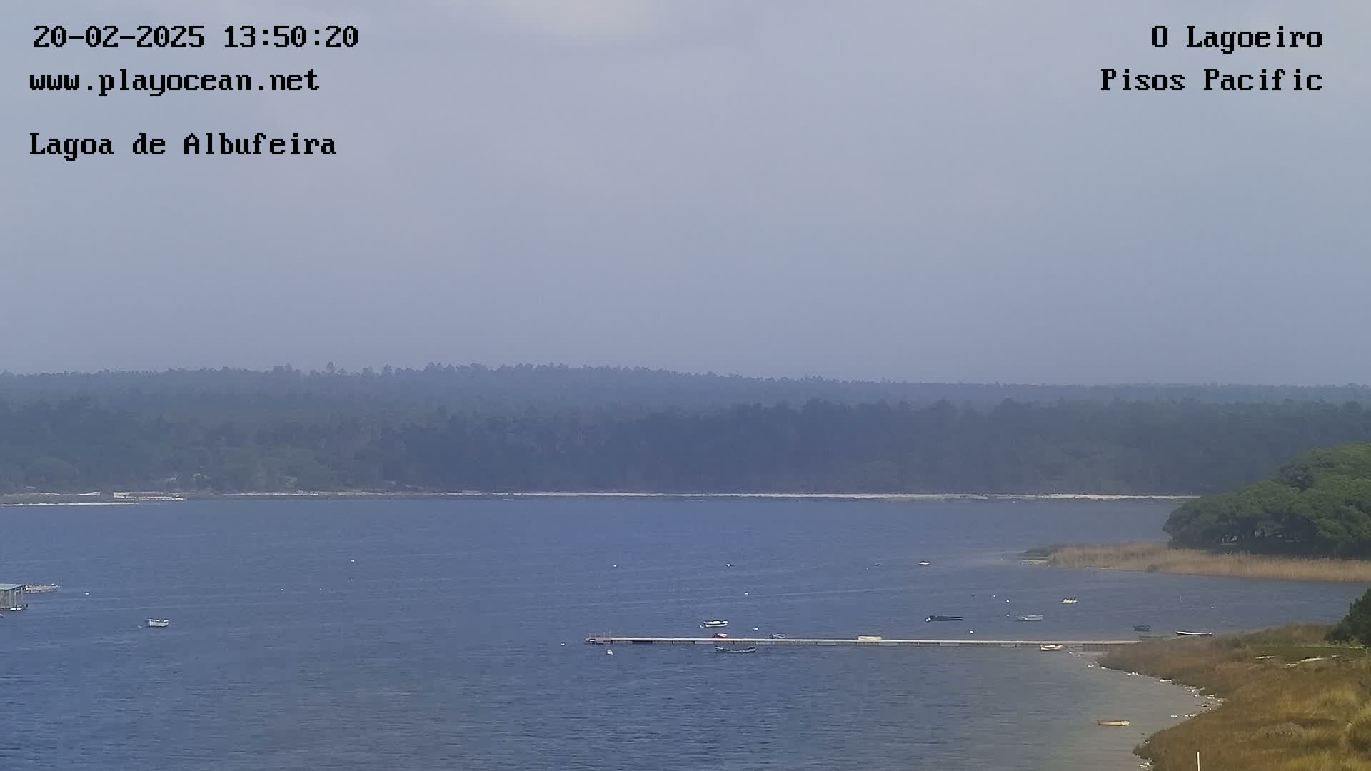 A hazy view of a calm body of water with a long dock and several small boats, bordered by a shoreline with vegetation and a distant line of trees.