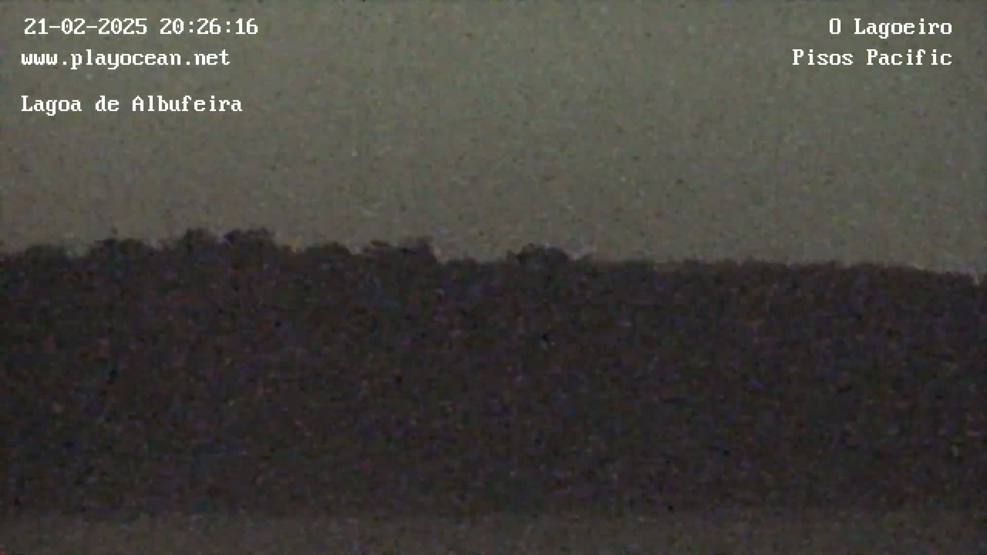 A dark-colored ground or surface is visible, possibly under a night sky.