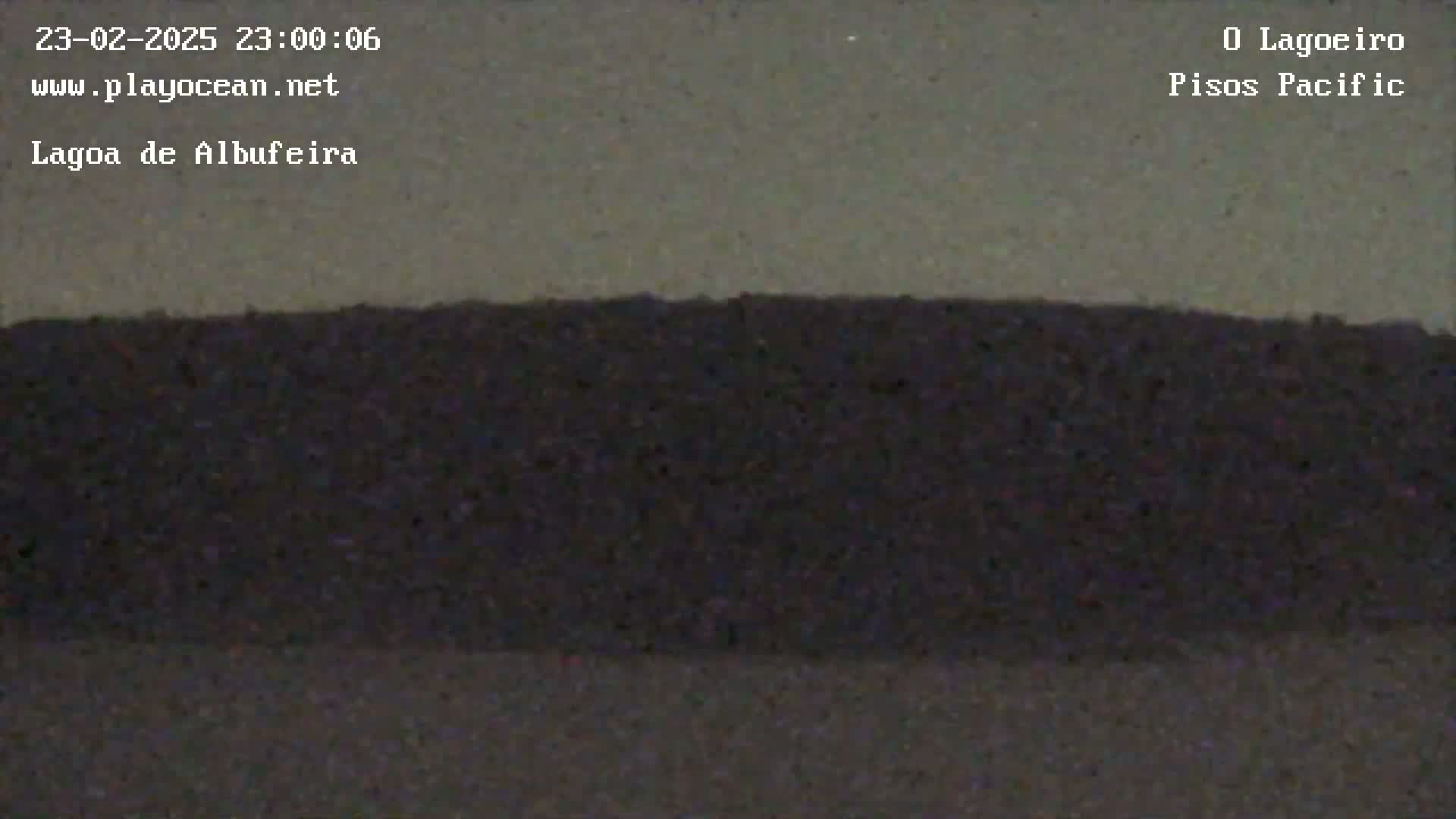 A nighttime, low-light image shows a dark, flat landscape under a grayish sky.