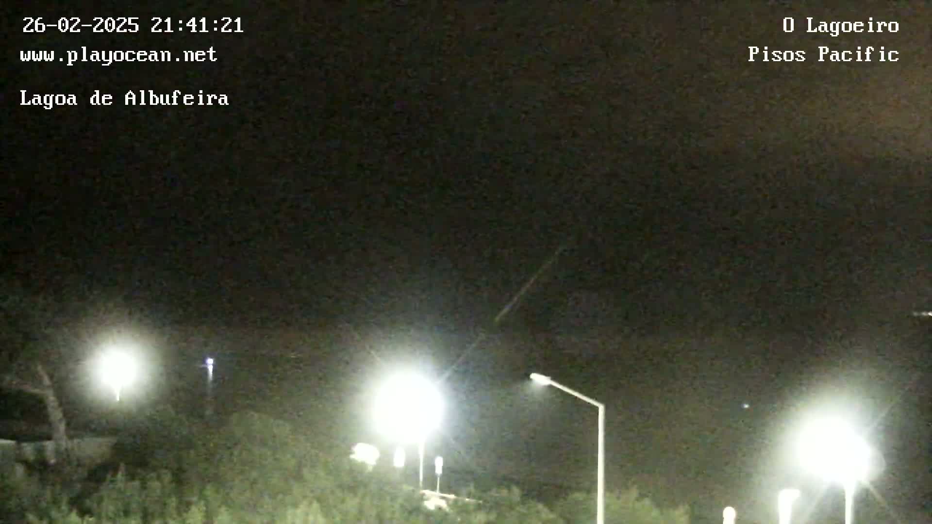 A nighttime, outdoor scene shows a dark sky illuminated by several bright streetlights over low vegetation.