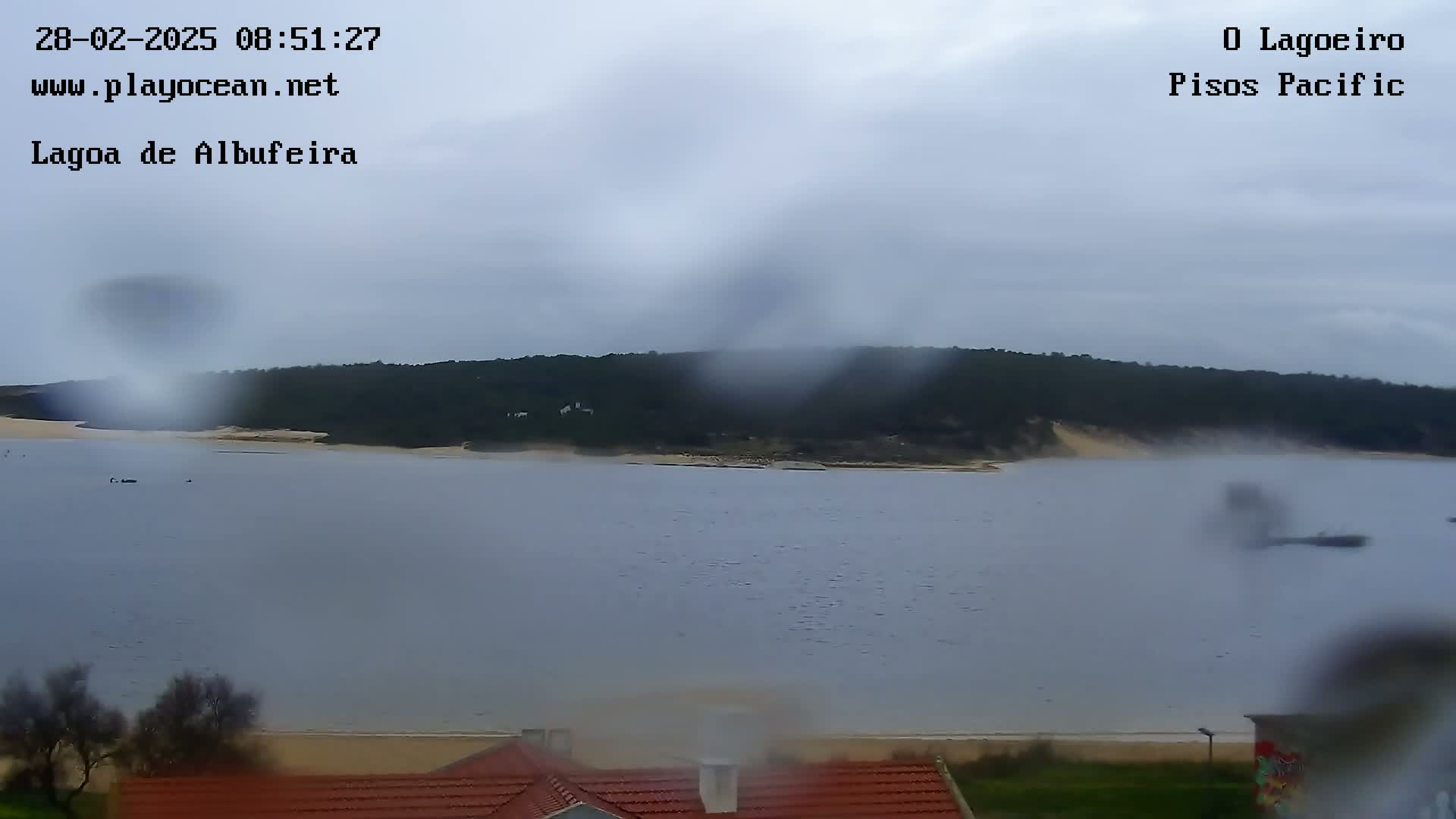 A rain-streaked view shows a calm body of water extending to a treeline on a cloudy day.