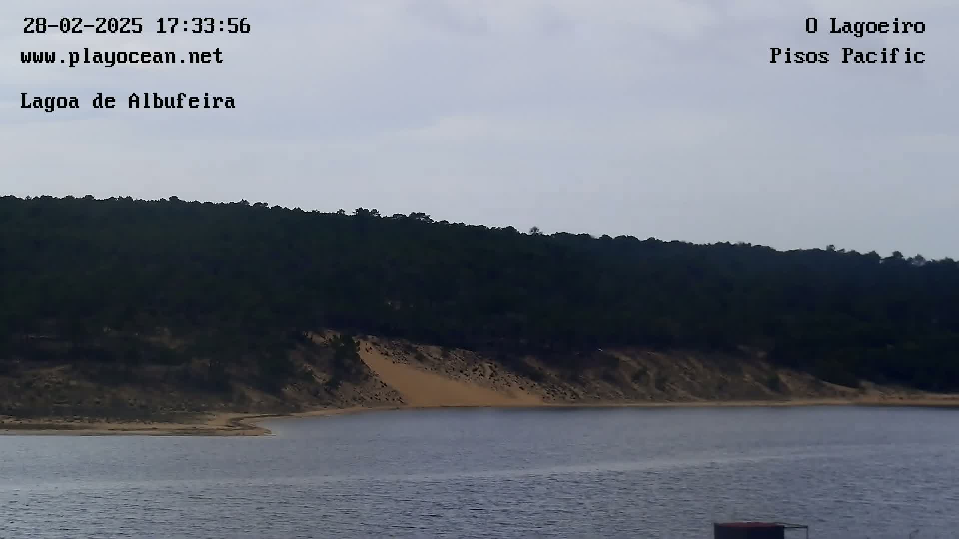 A body of water is seen with a sandy shore and a dark, wooded hillside in the background under an overcast sky.
