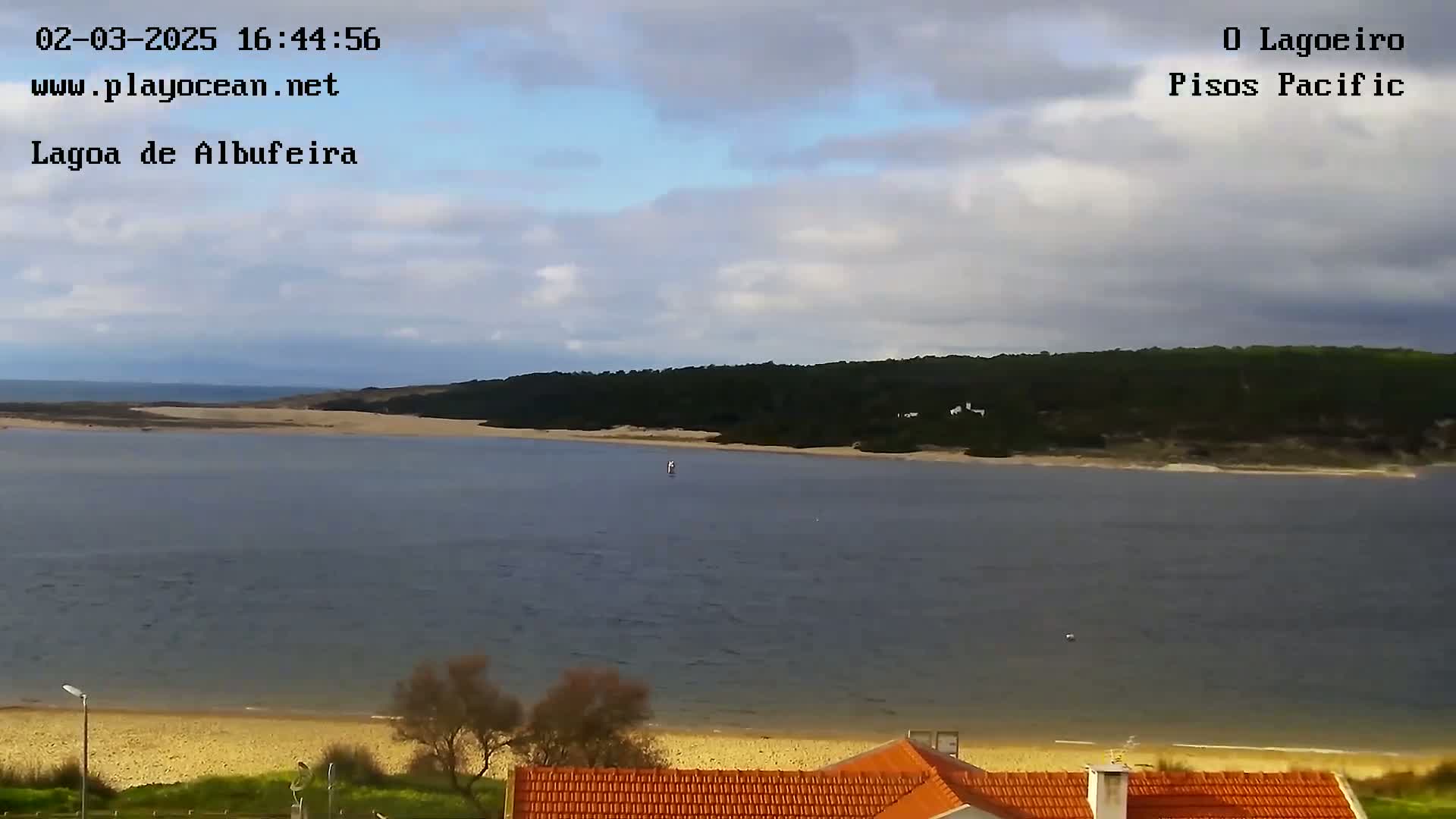 A calm body of water with a sandy beach and a line of trees under a mostly cloudy sky.