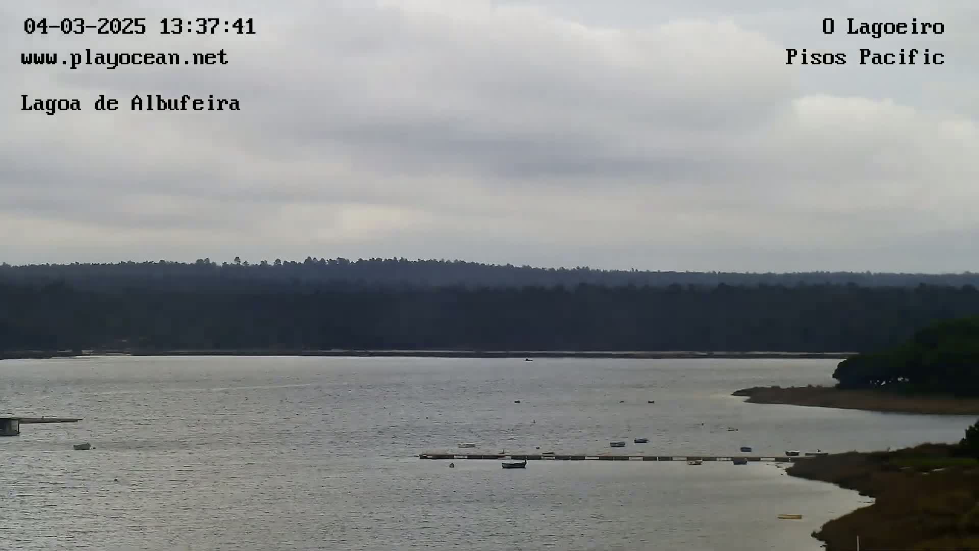 A calm body of water with several small boats is seen under an overcast sky, with a dark forest line in the distance.