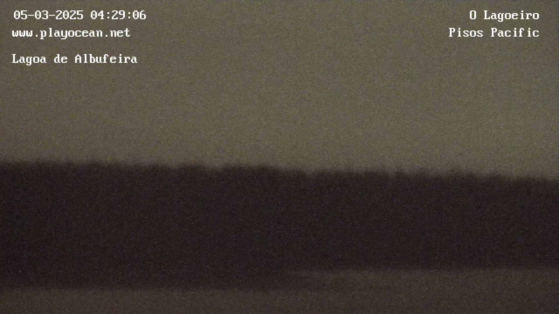 A dark, possibly overcast, scene shows a flat expanse of land with a dark line of trees or shrubs in the middle ground.