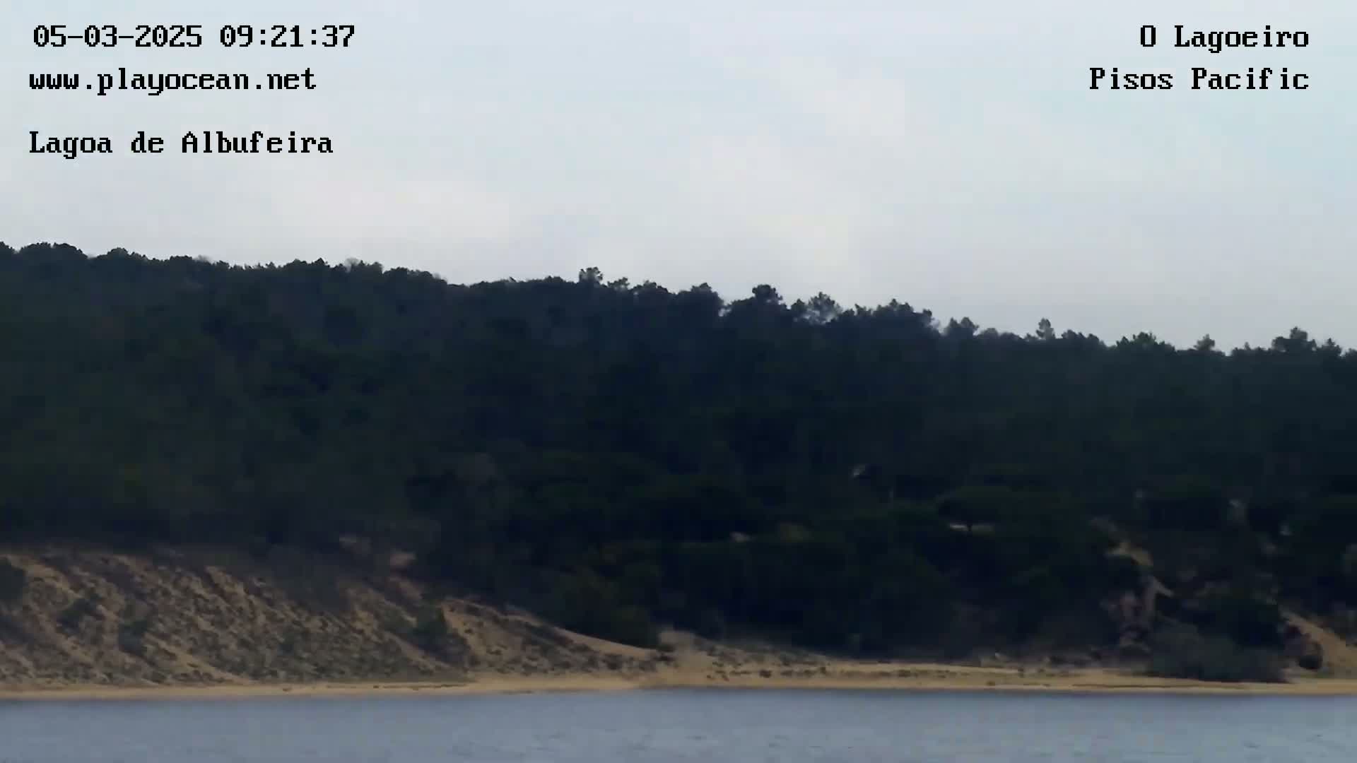 A dark, wooded hillside slopes down to a sandy beach beside calm water under an overcast sky.