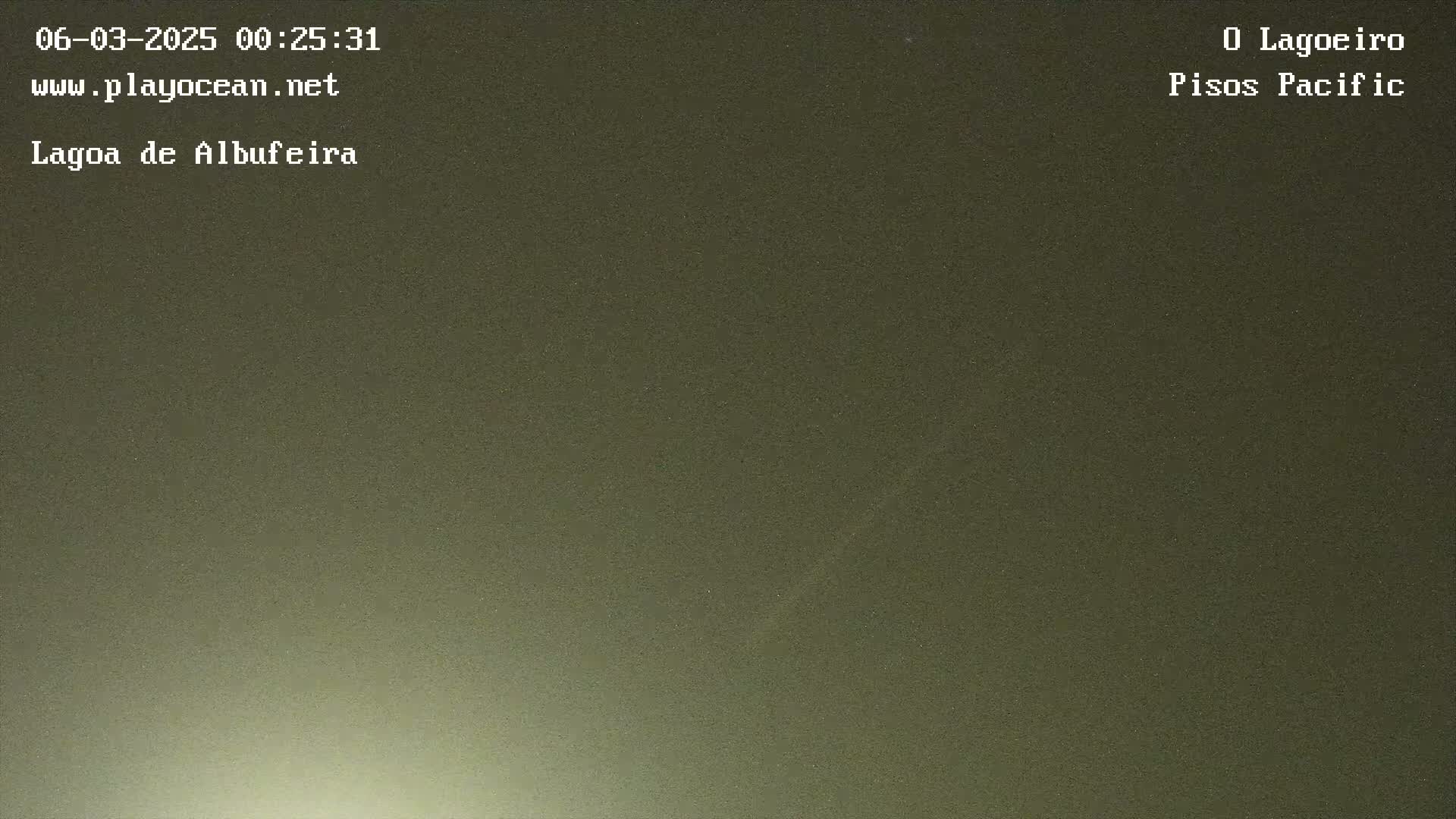 A dark, muted green, possibly nighttime, outdoor scene with a slight brightening at the bottom.